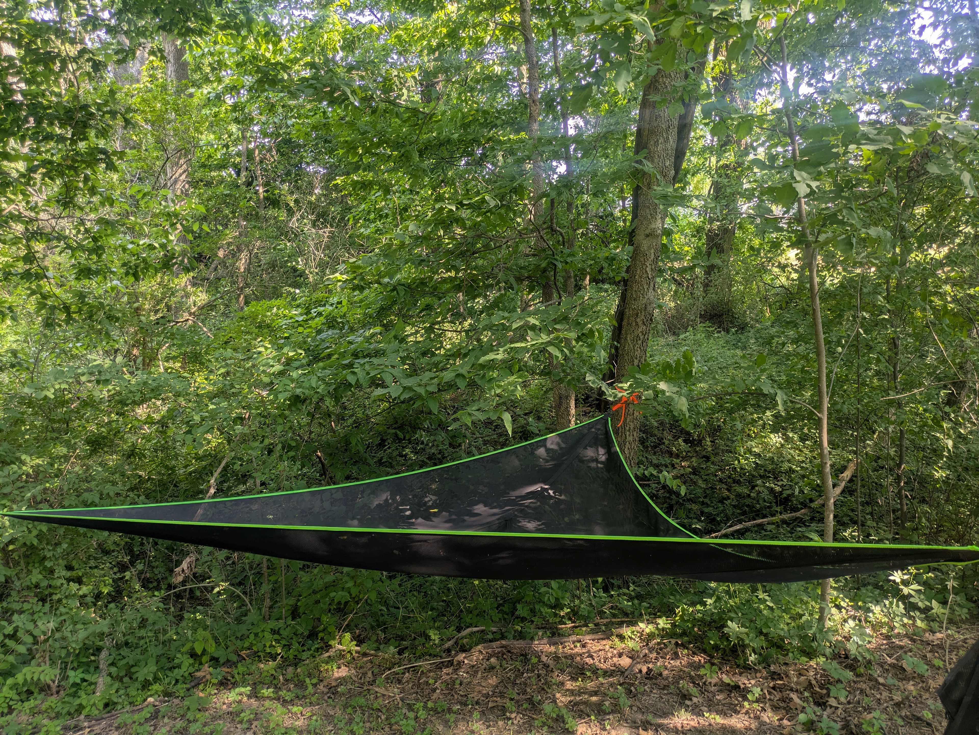 Hammock