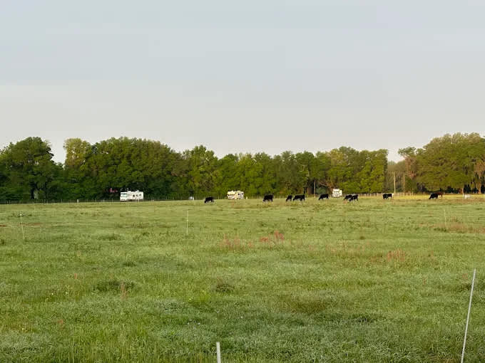 Red Rooster RV Park