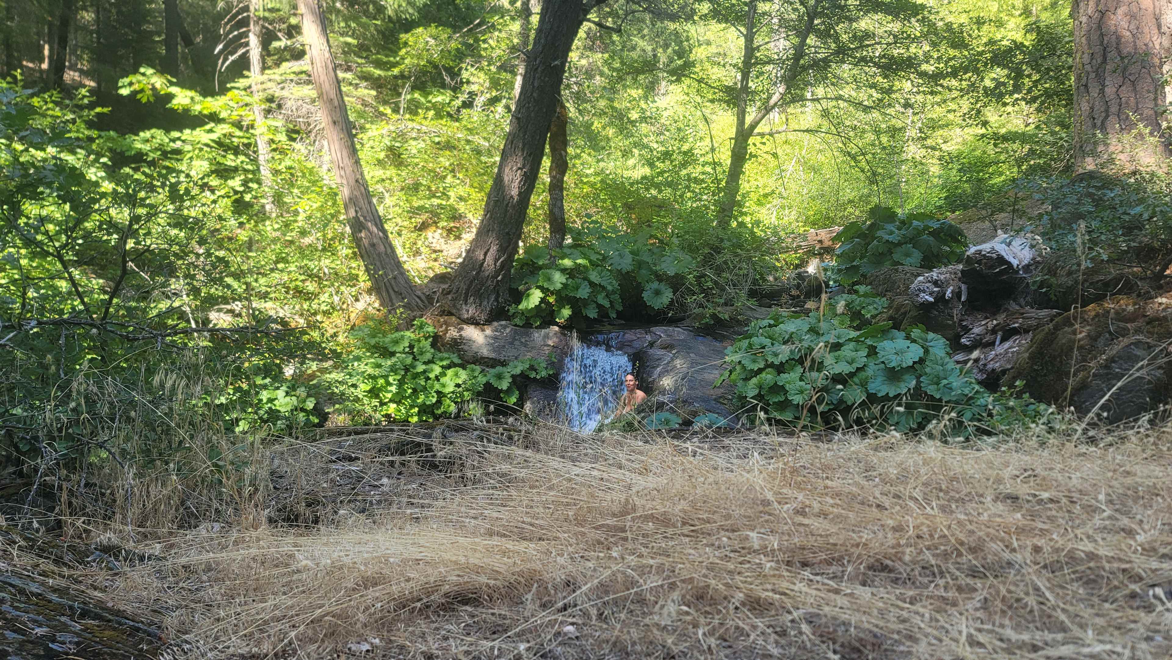 Beauty and the stream