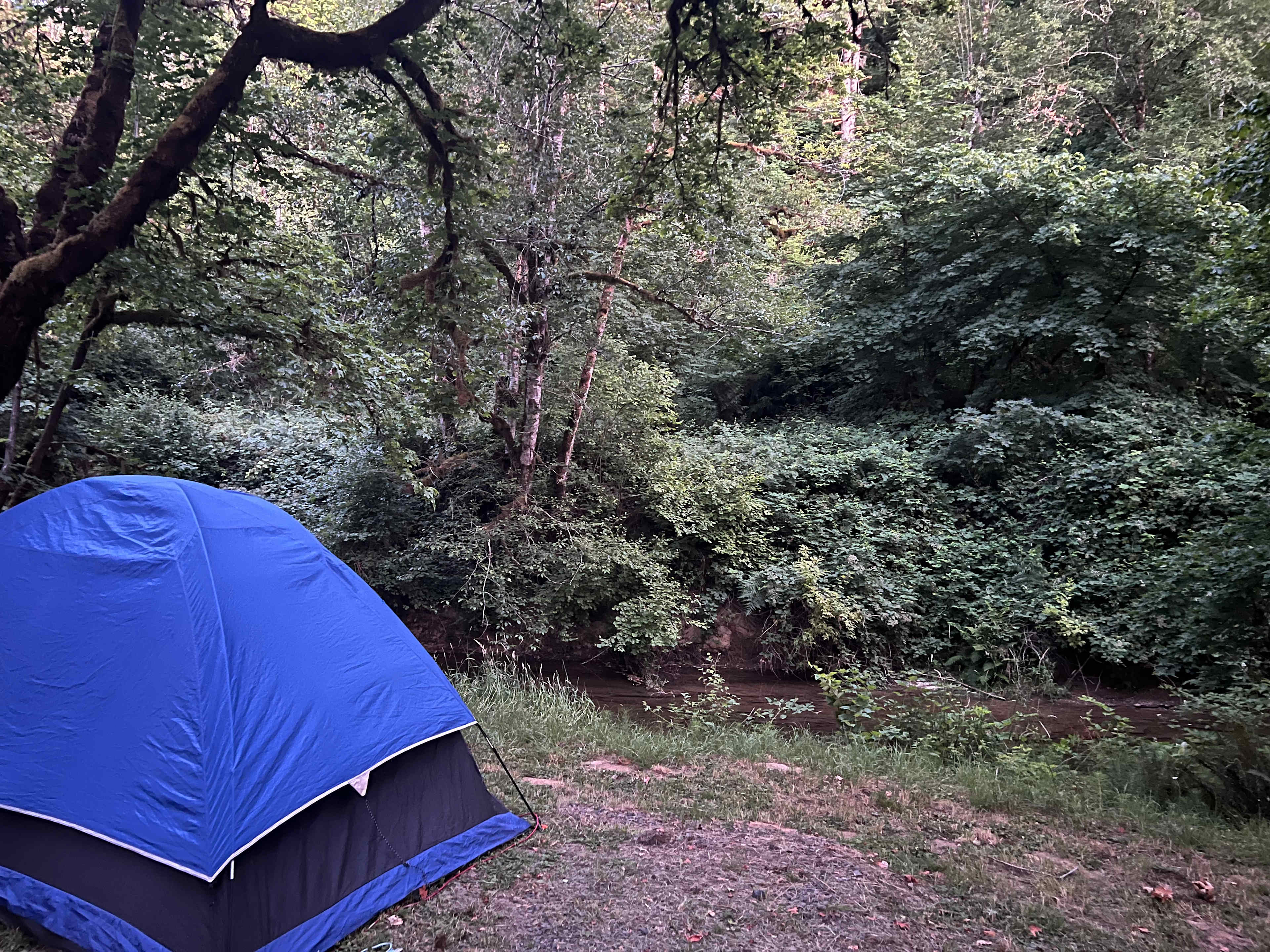 Camp Paradise Creek
