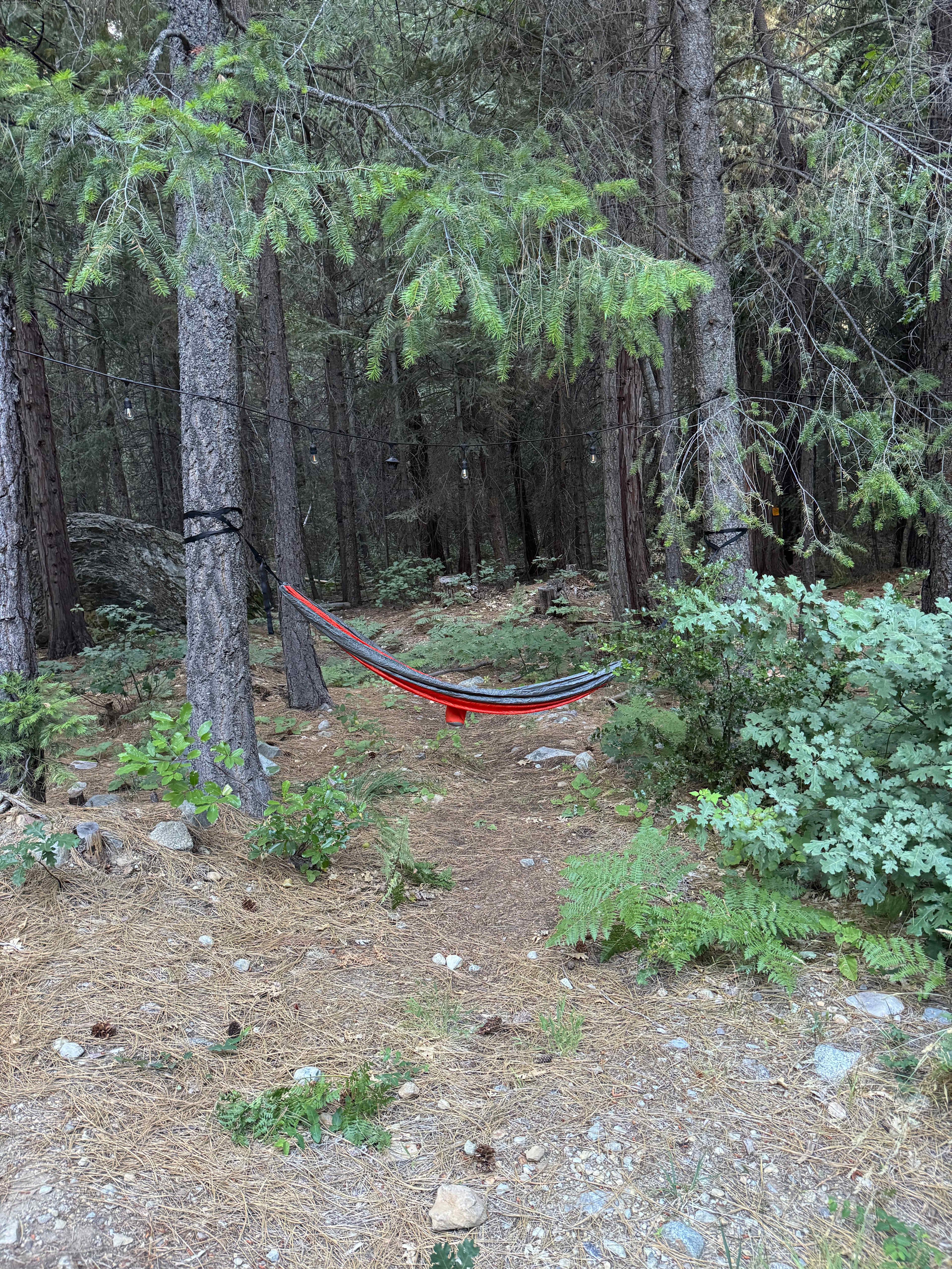 Bright Bear Camp in Tahoe NF