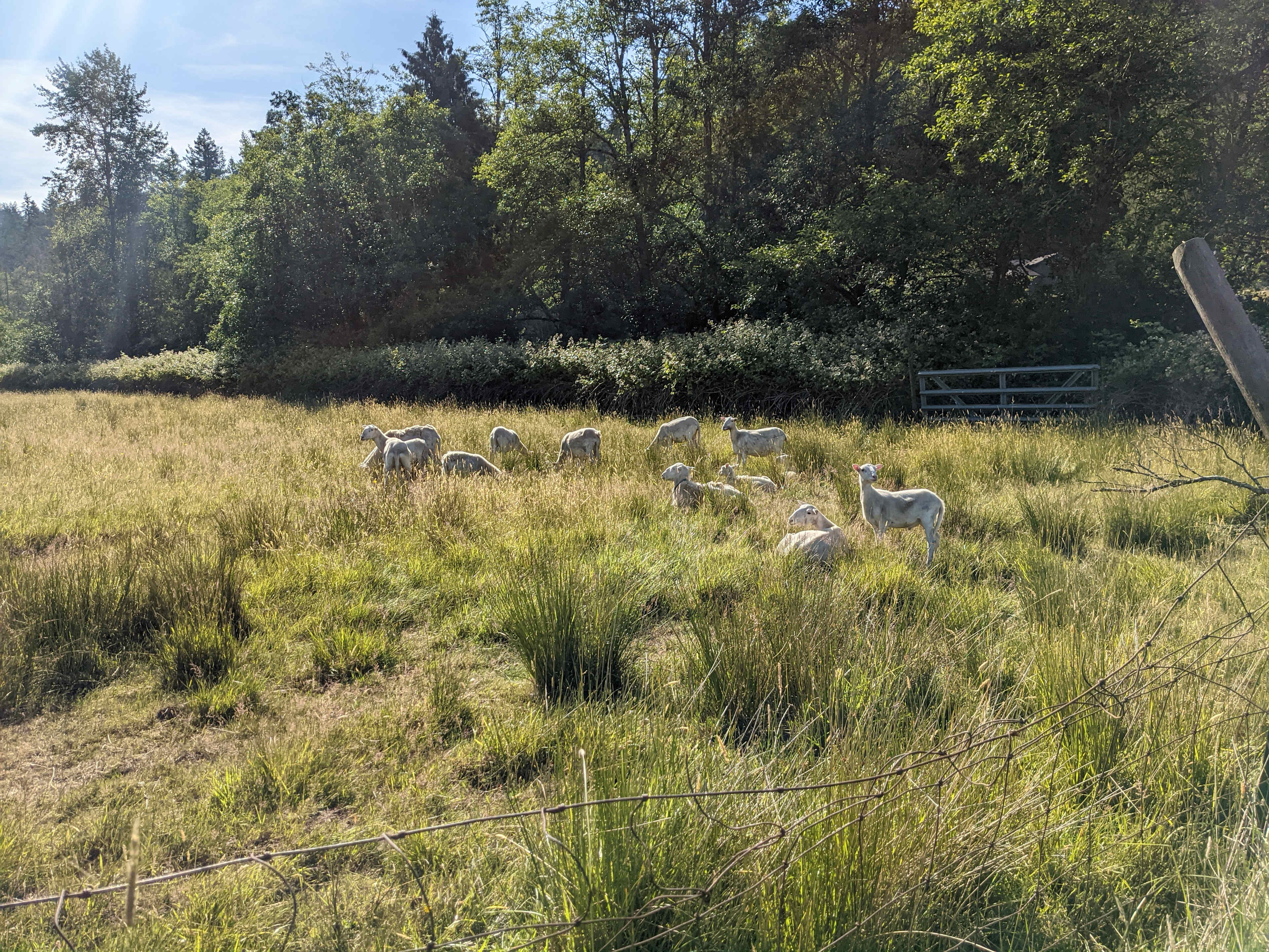 The Khohay Farm