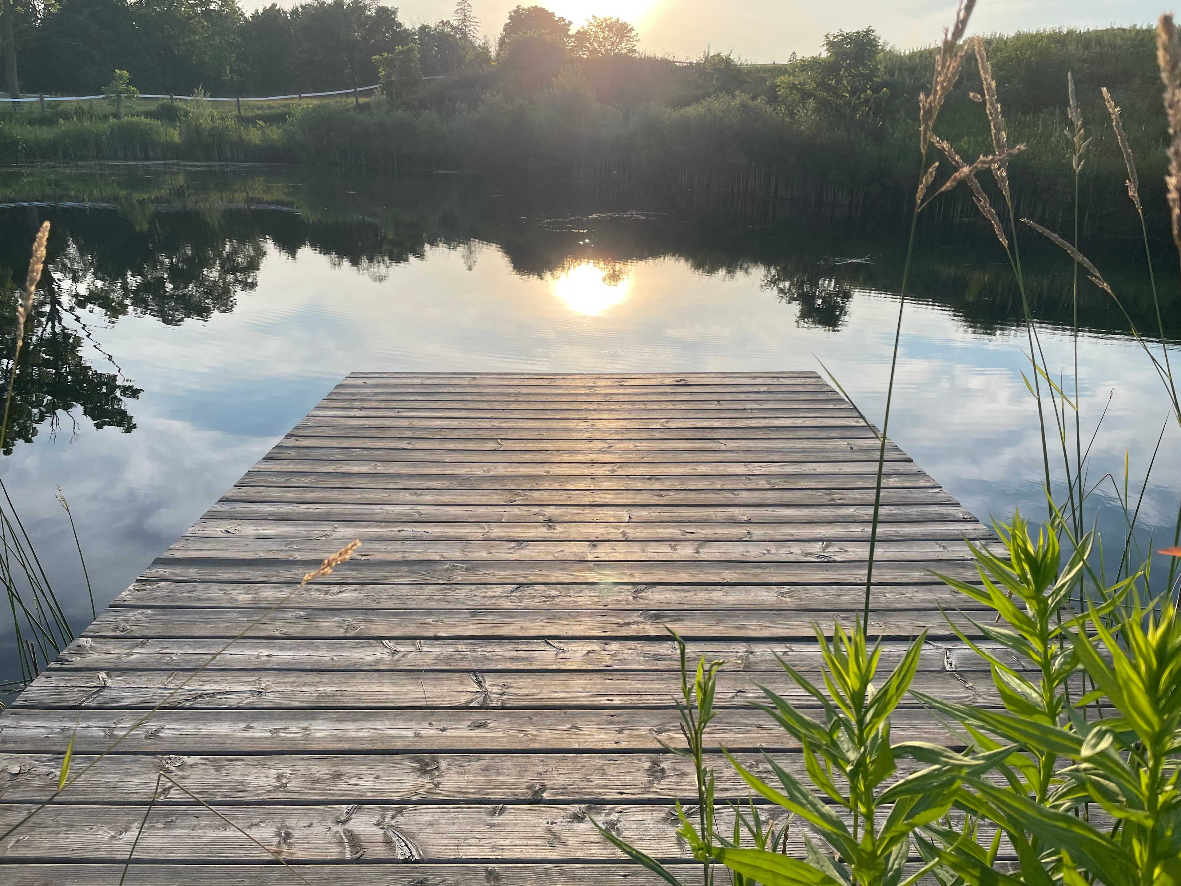 Sweet Pond Camping