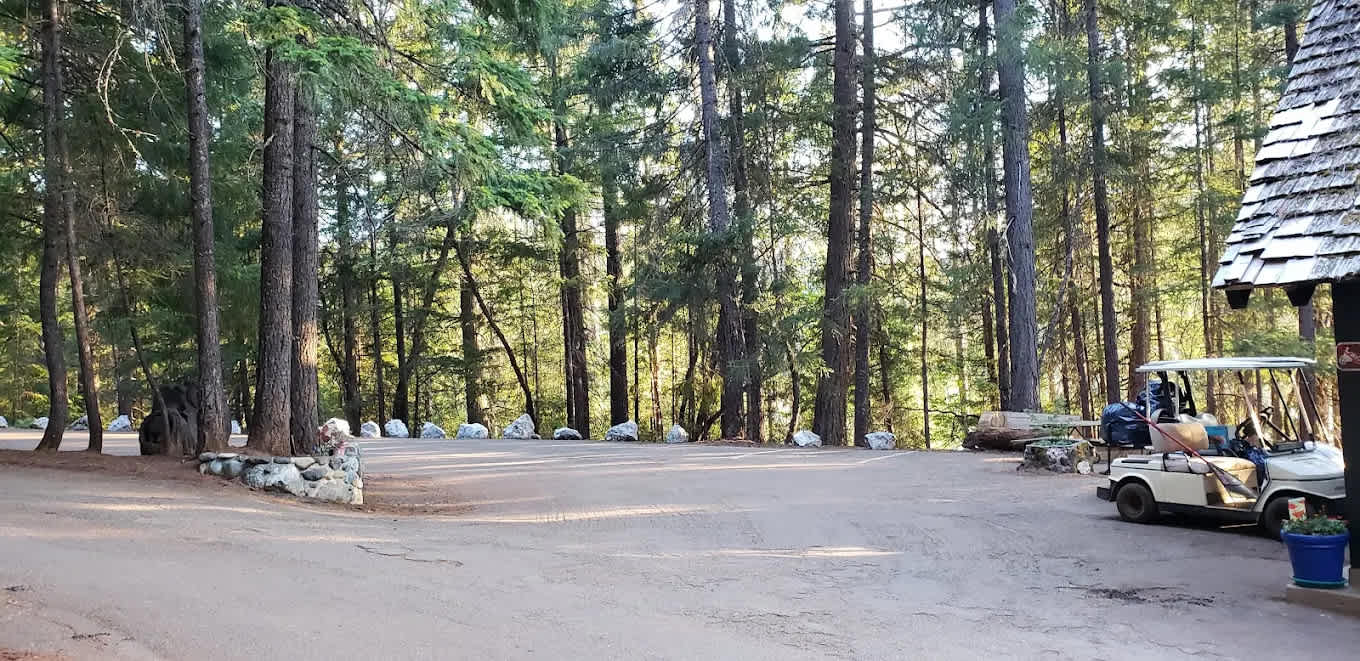 Pinewood Cove Resorts on Trinity Lake