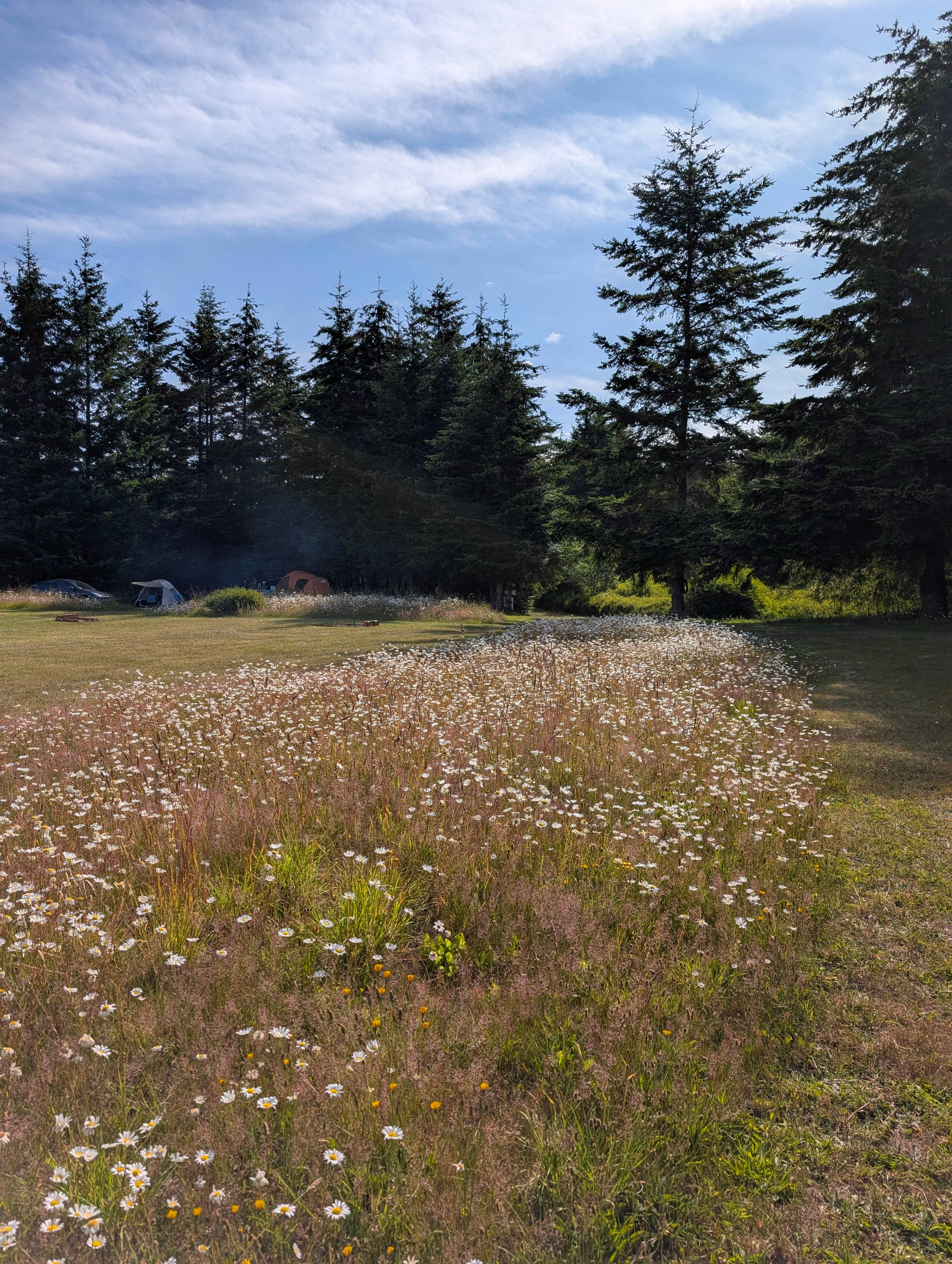 Ranger Creek Campground