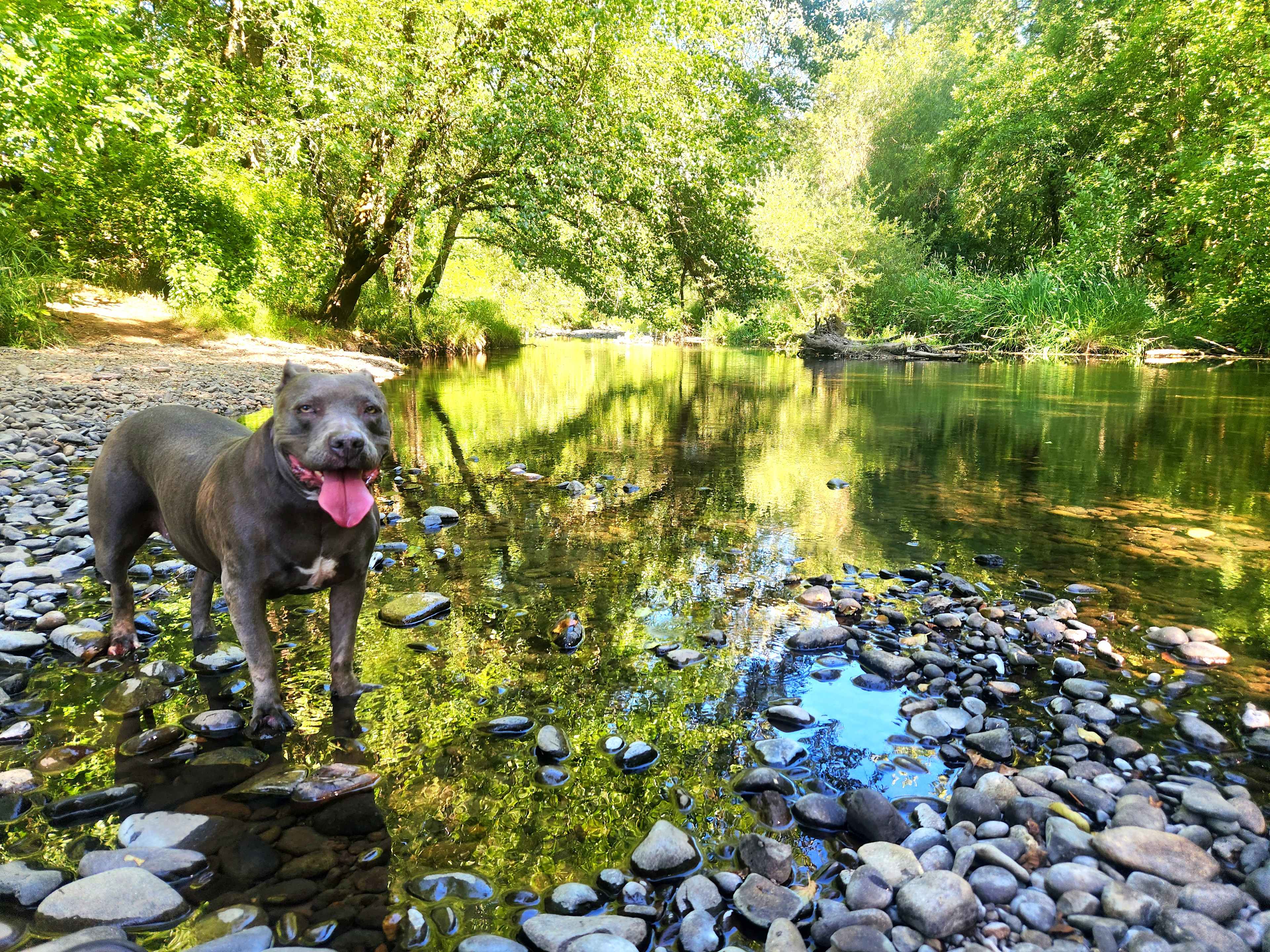 Santiam Serenity