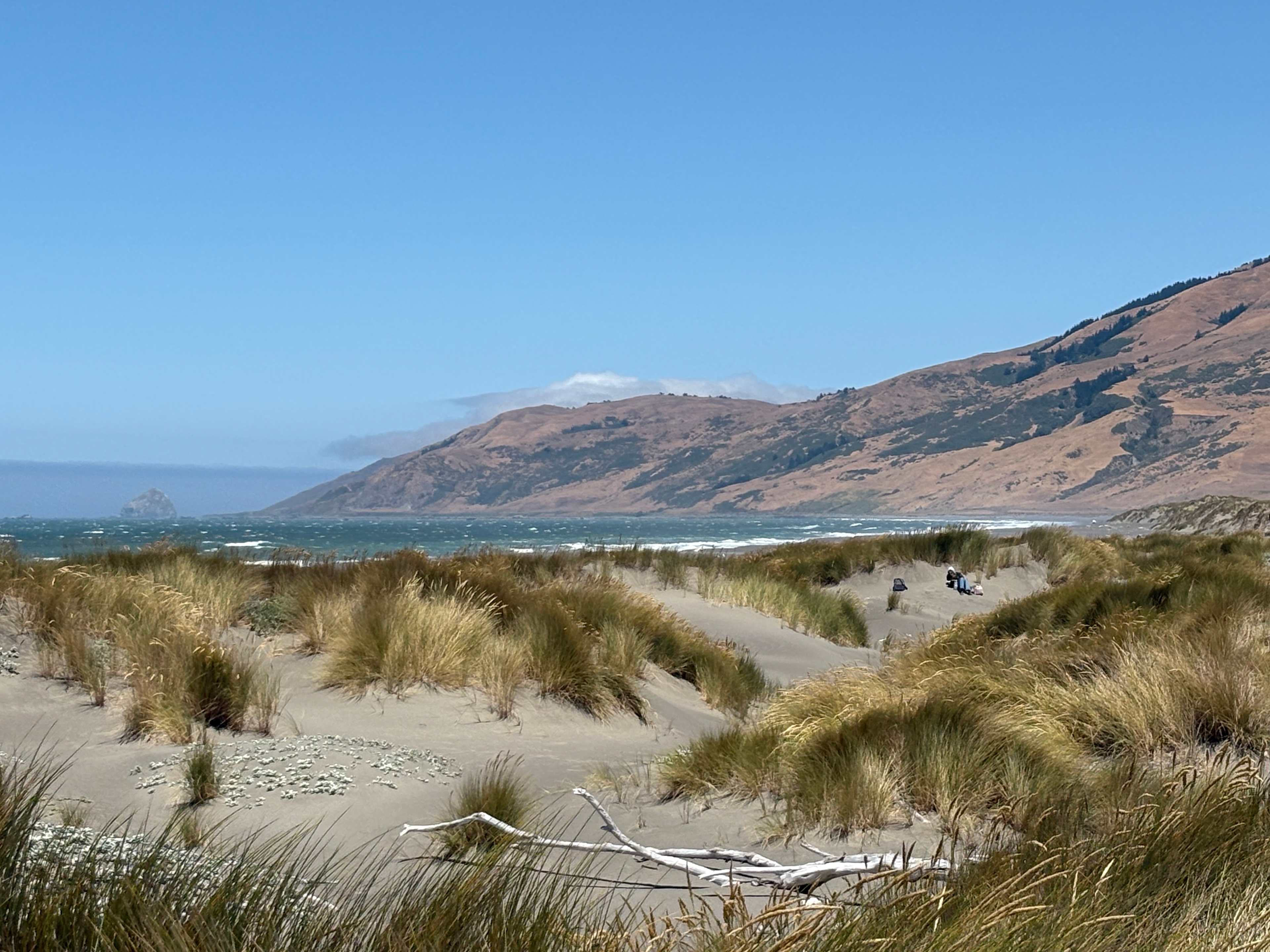 5 miles from unbelievable North Pacific beaches