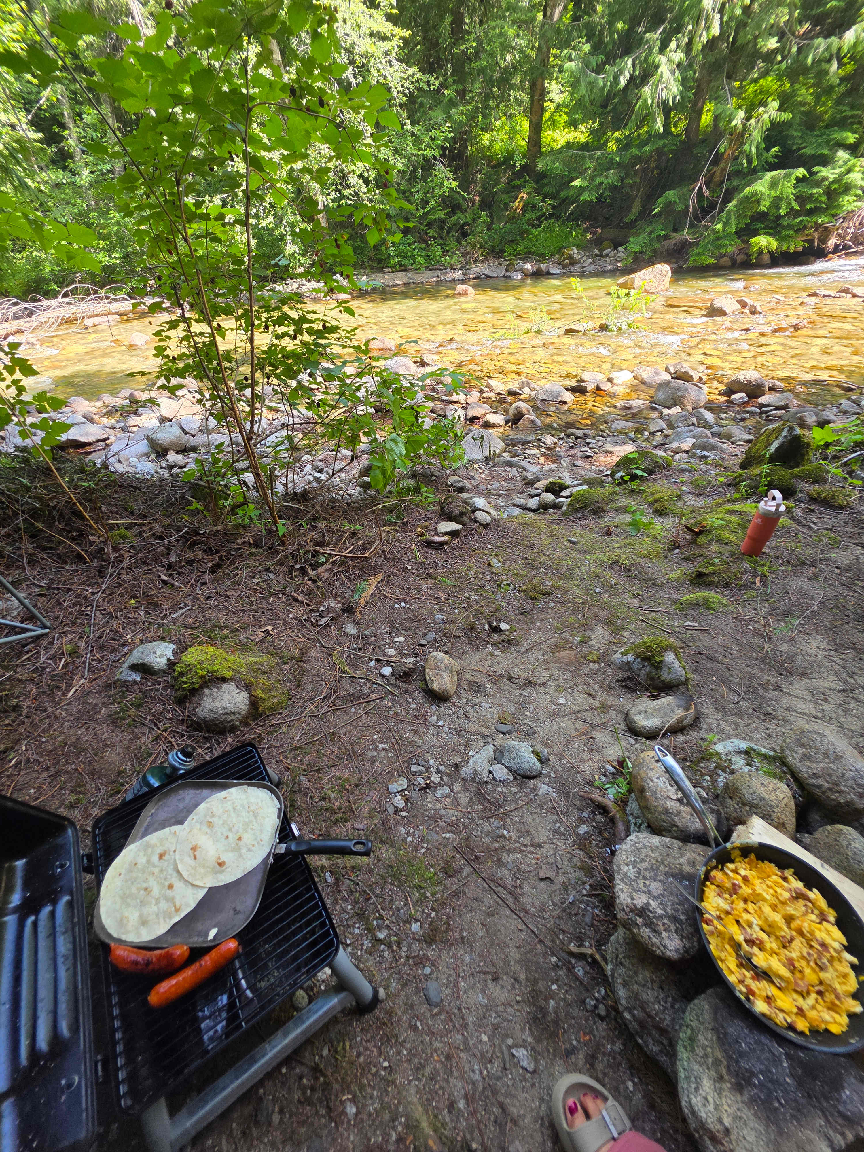 Picture of the site