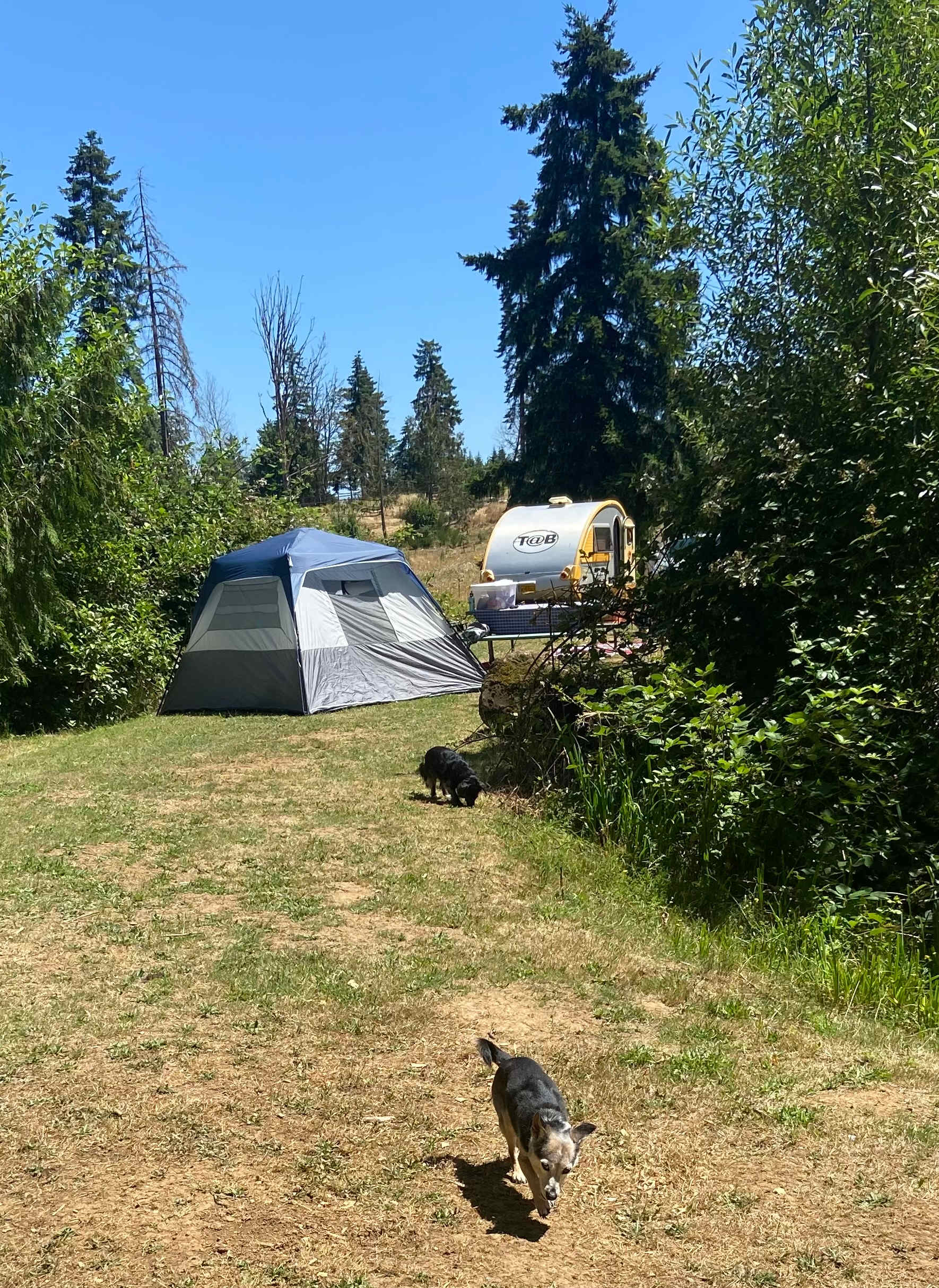 Picture of the site