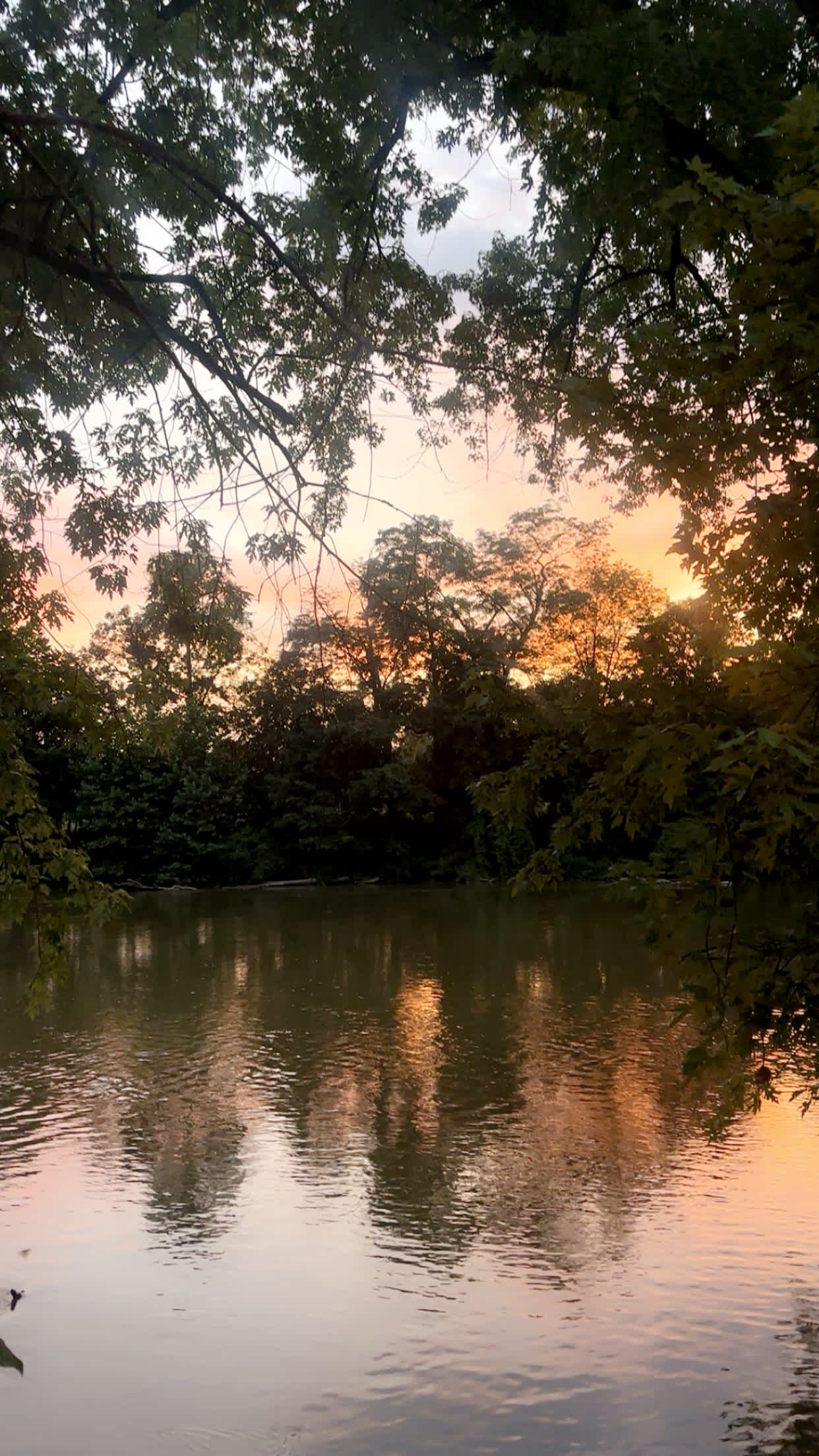 The land.