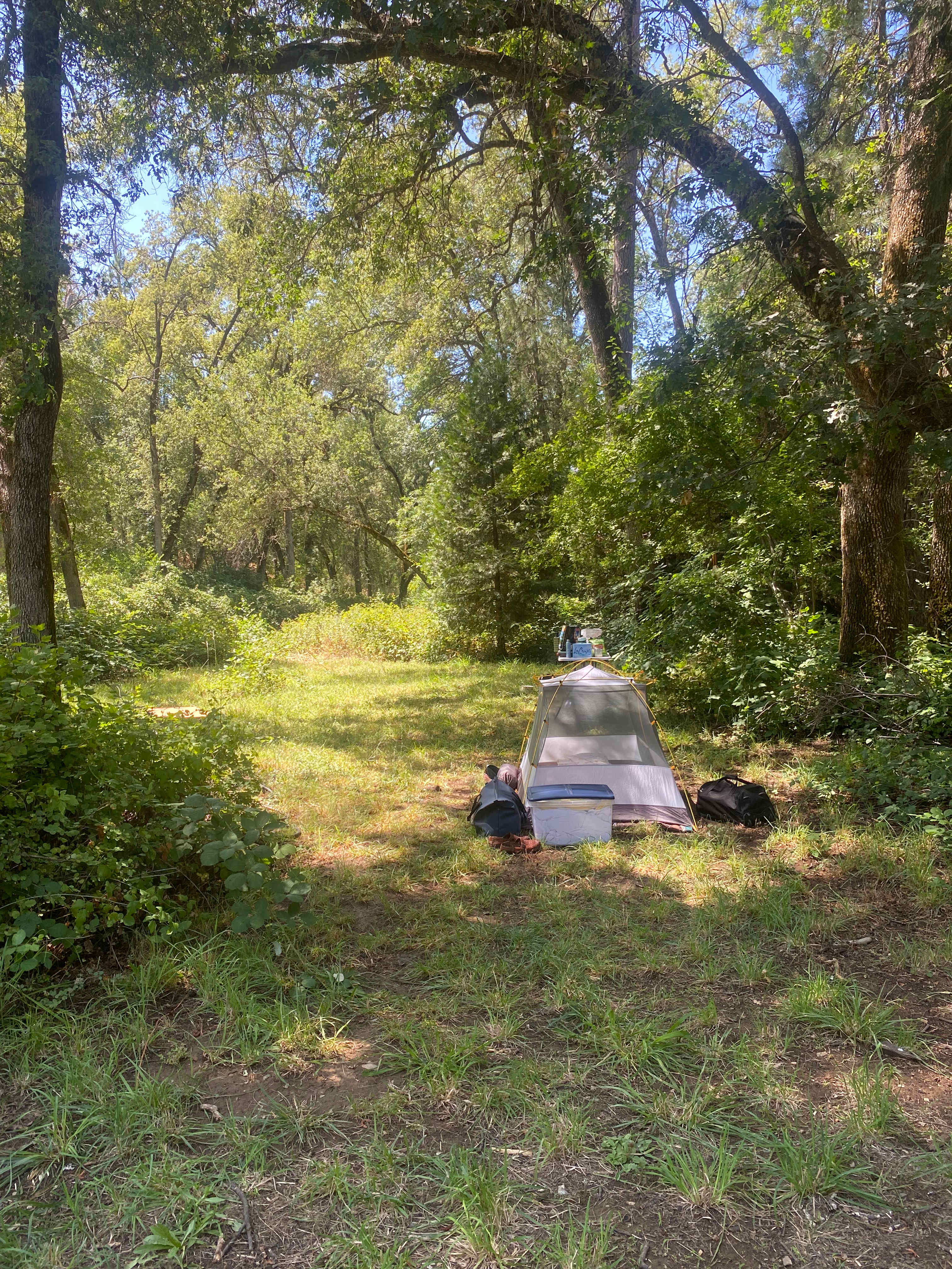 Camp Run Amuck Hollow