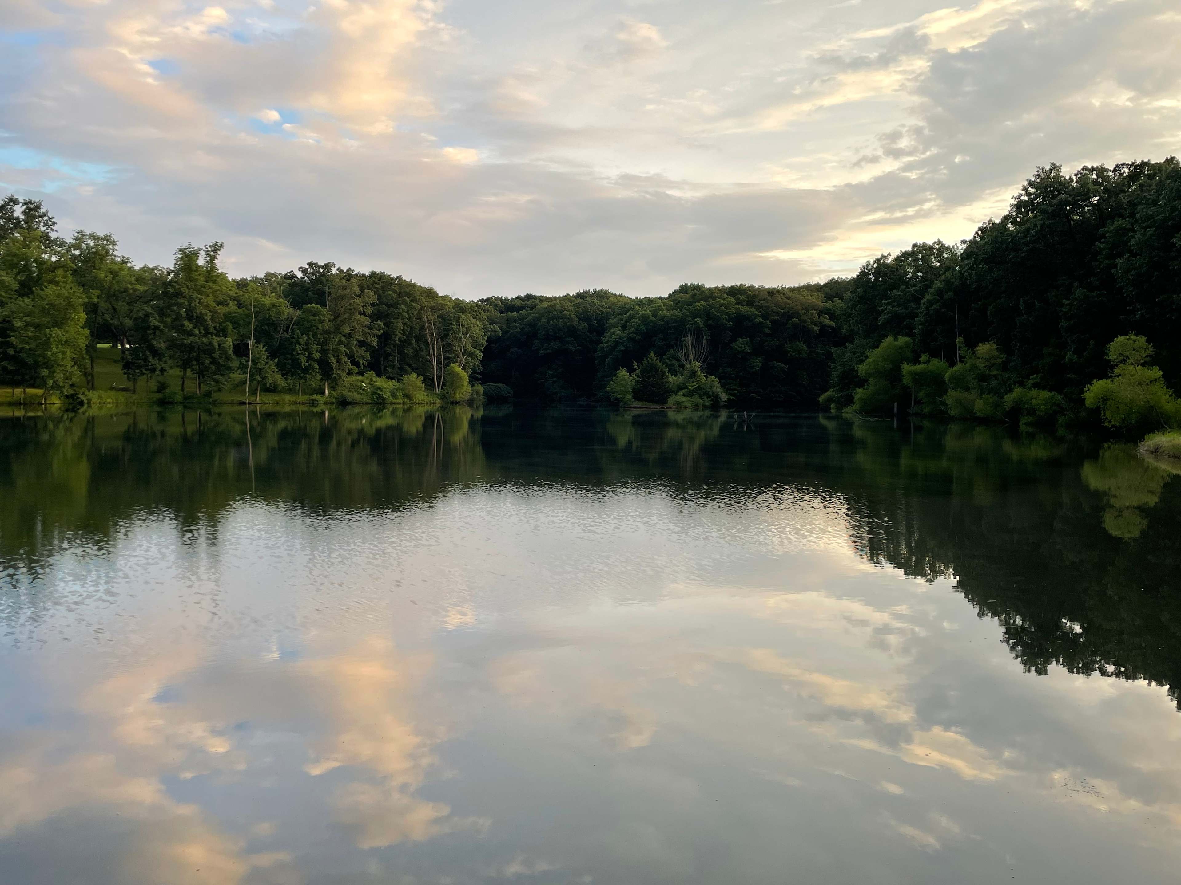 PeaceTree Farms