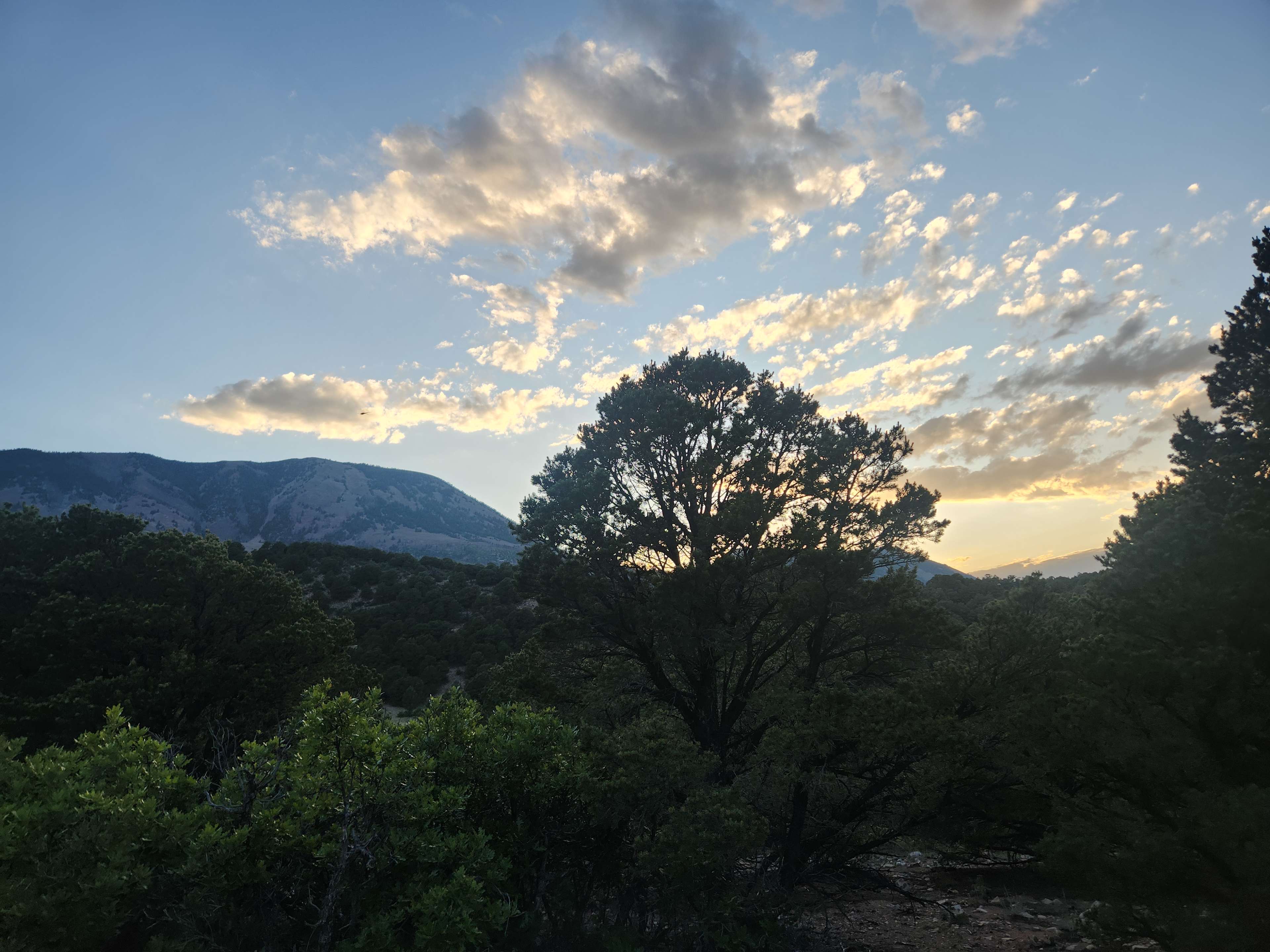 Secluded Mountain Property
