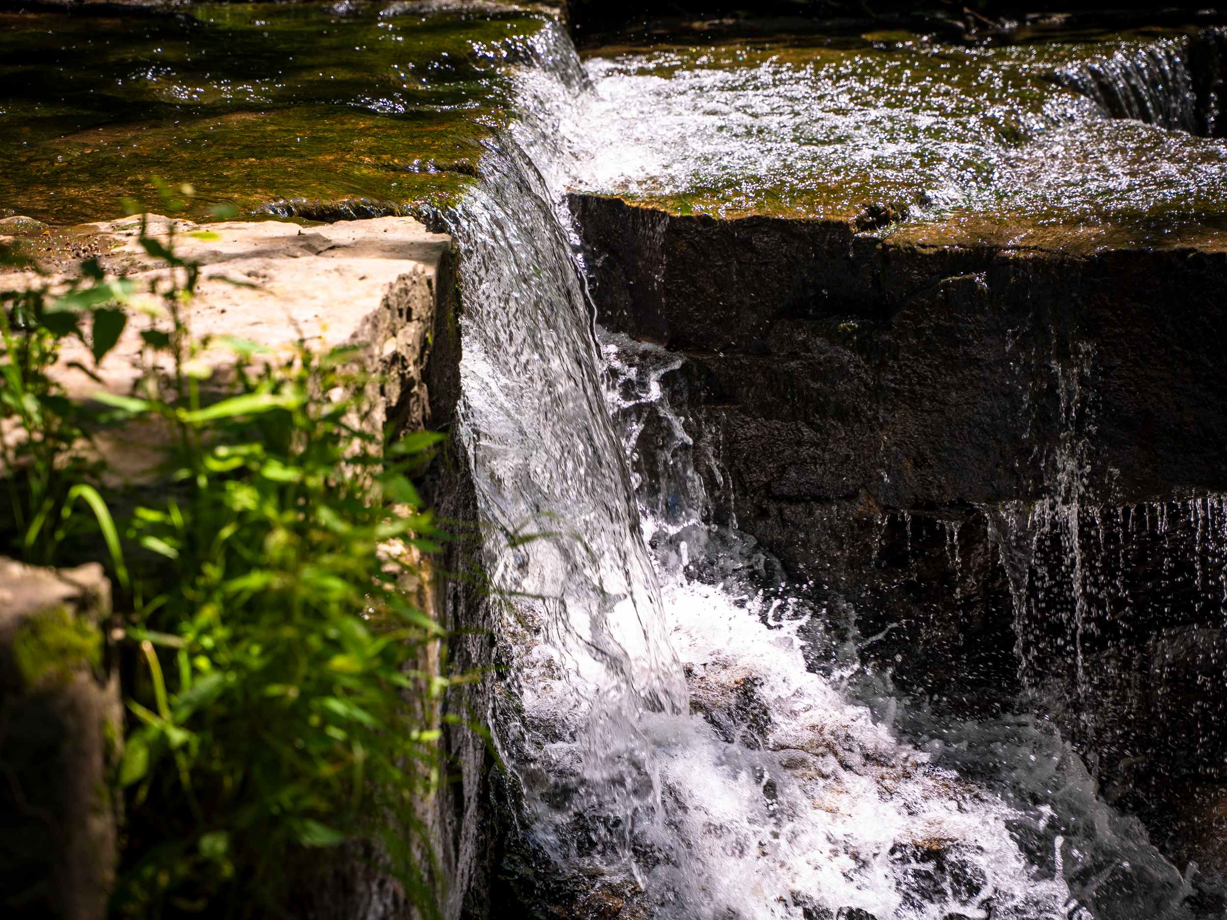 Prairie Creek Campground