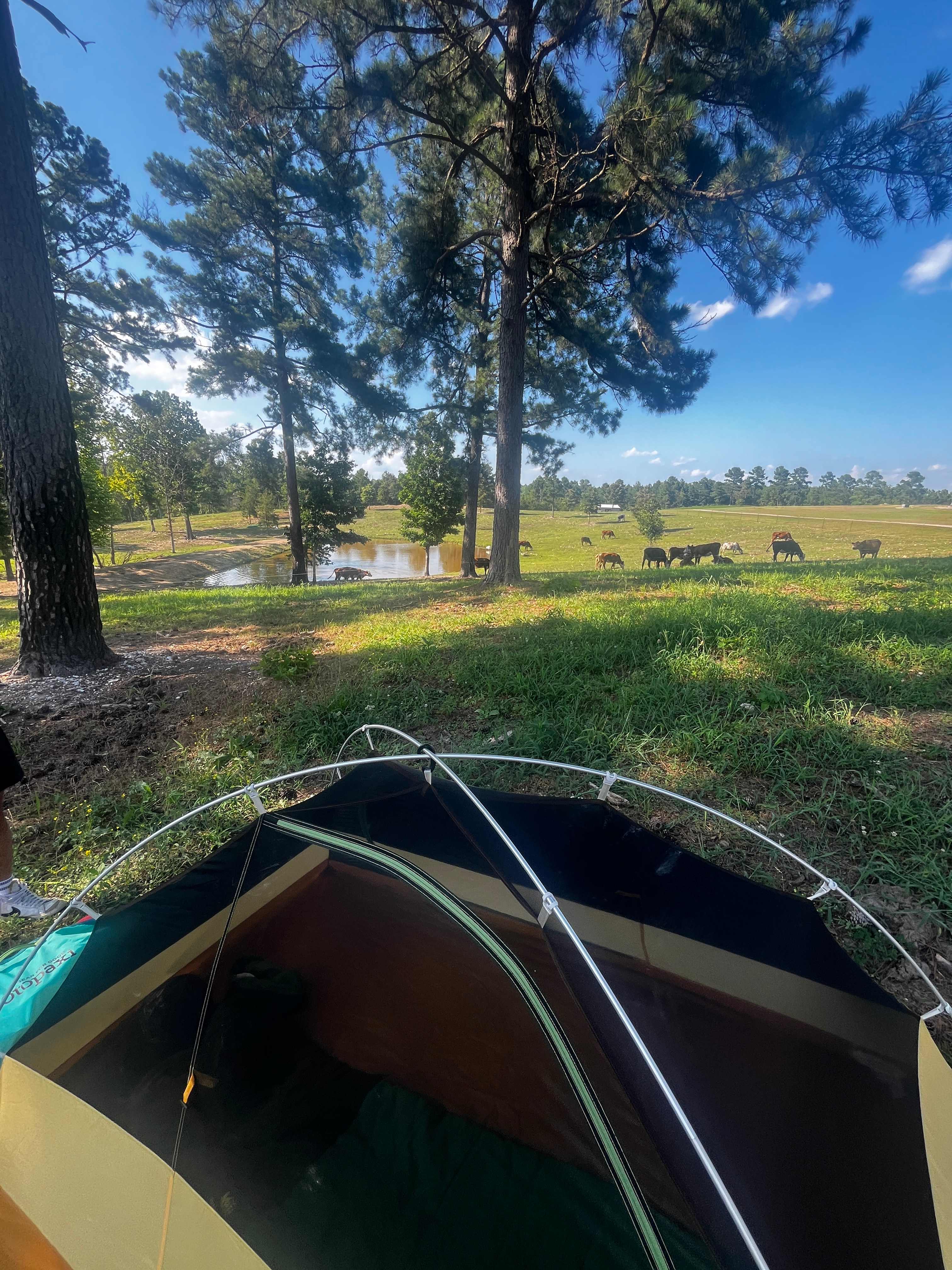 Cedar Creek Farms Camp
