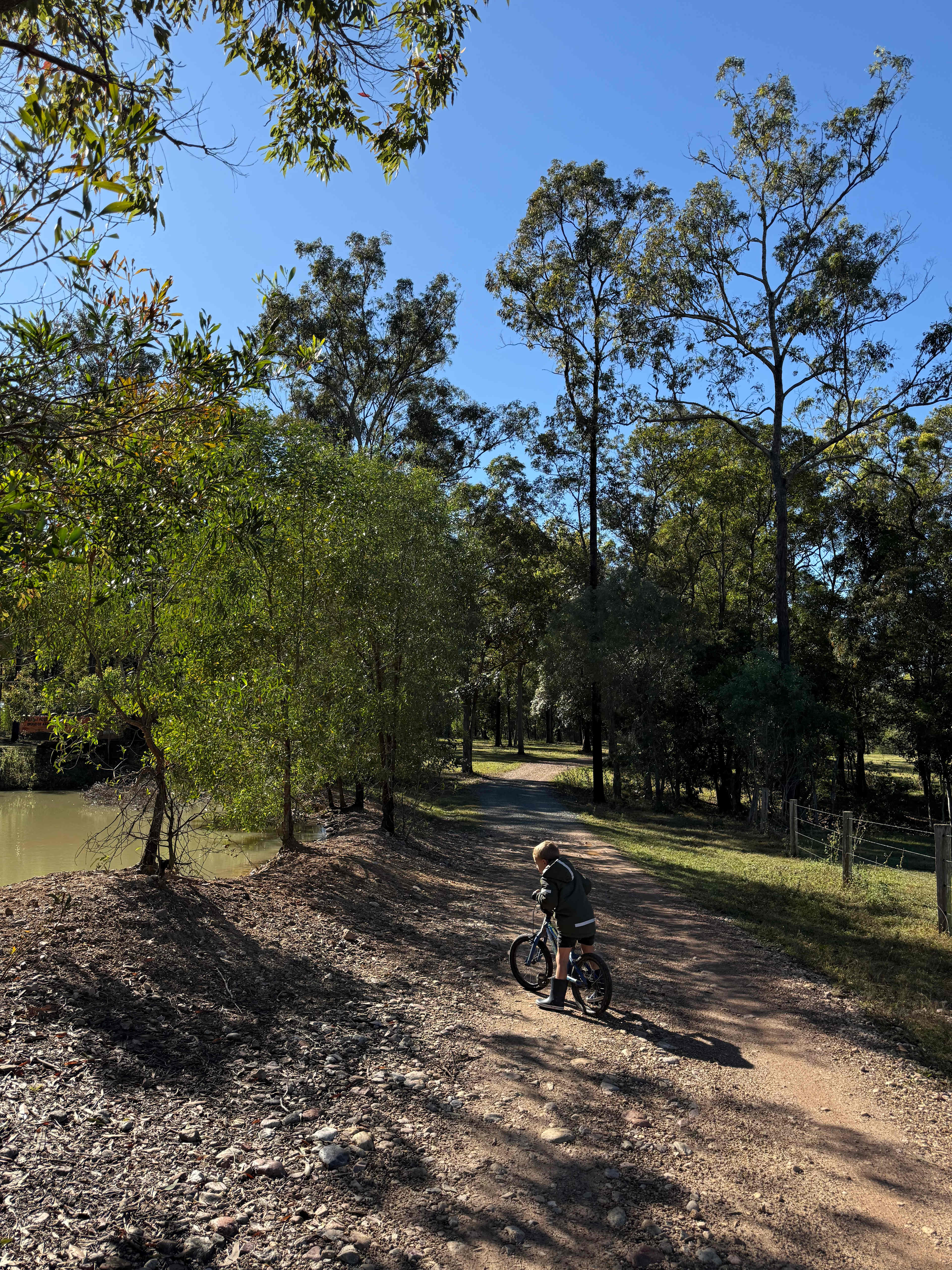 Exploring the dam and the diggers 