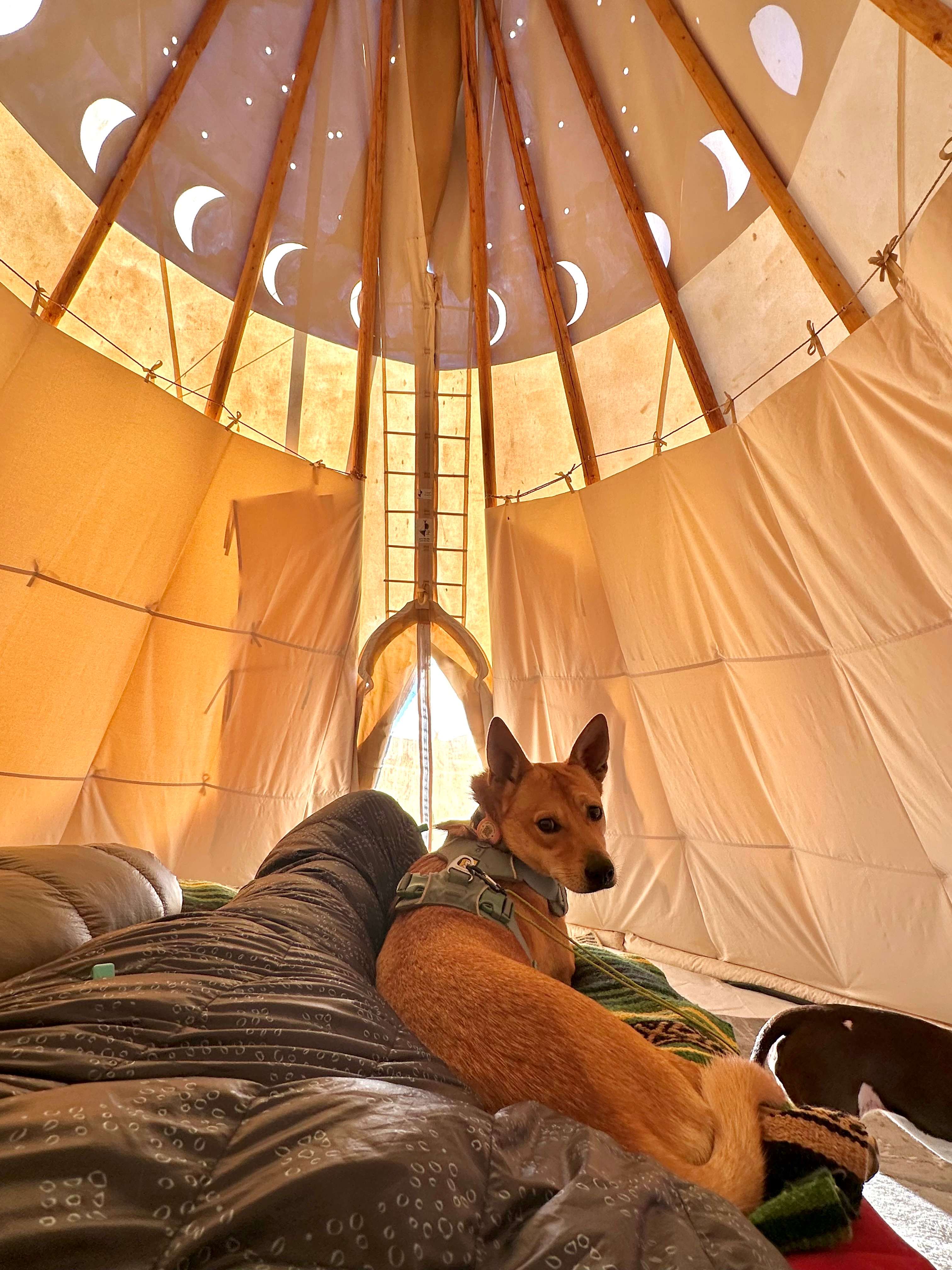 Bright Star Campground