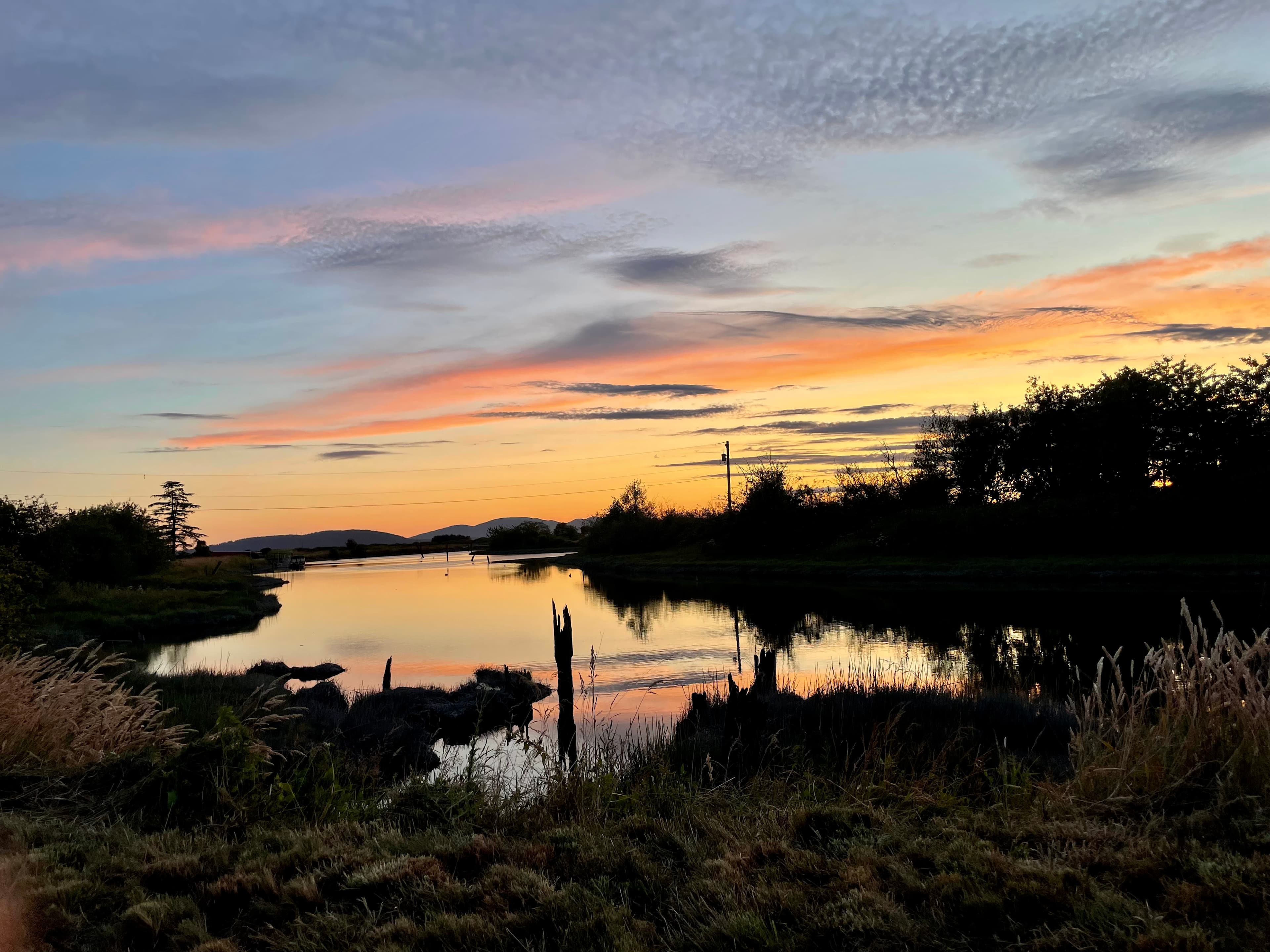 Heron's Haven