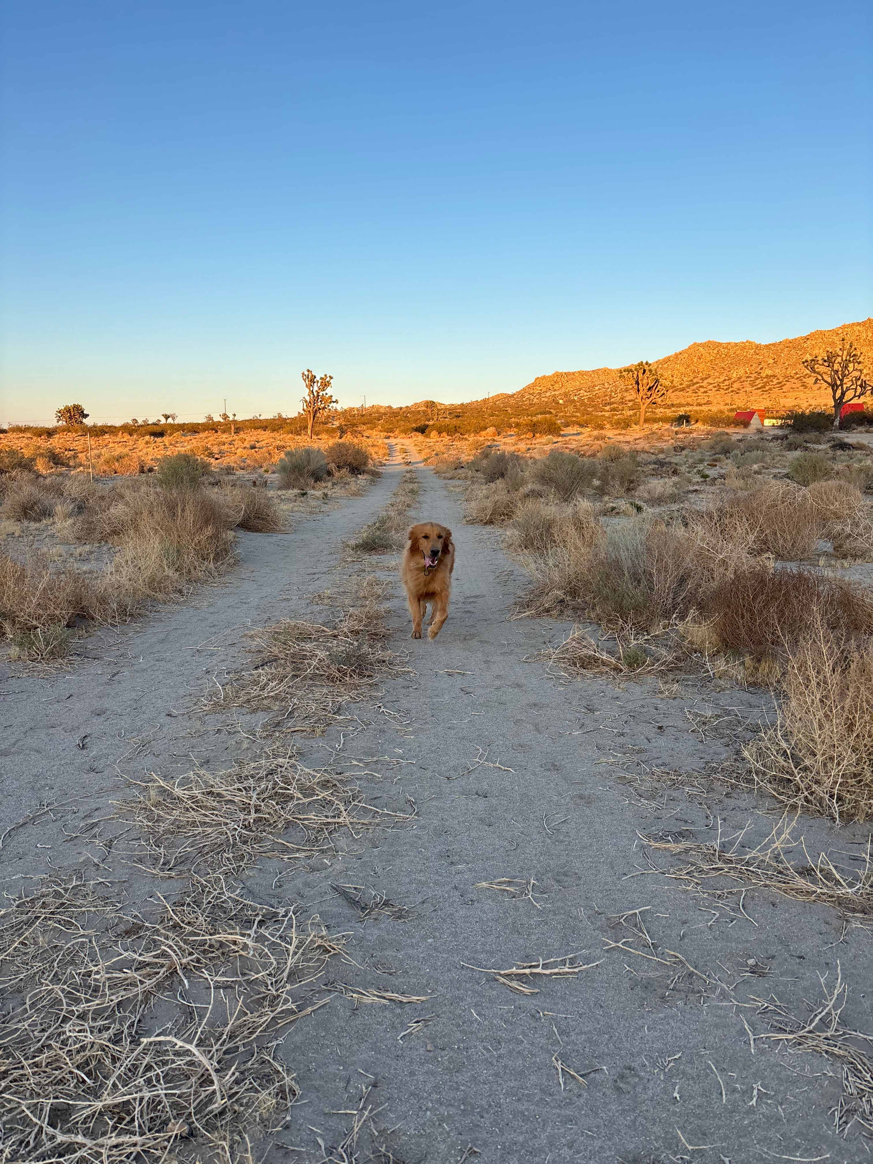 Star Ranch