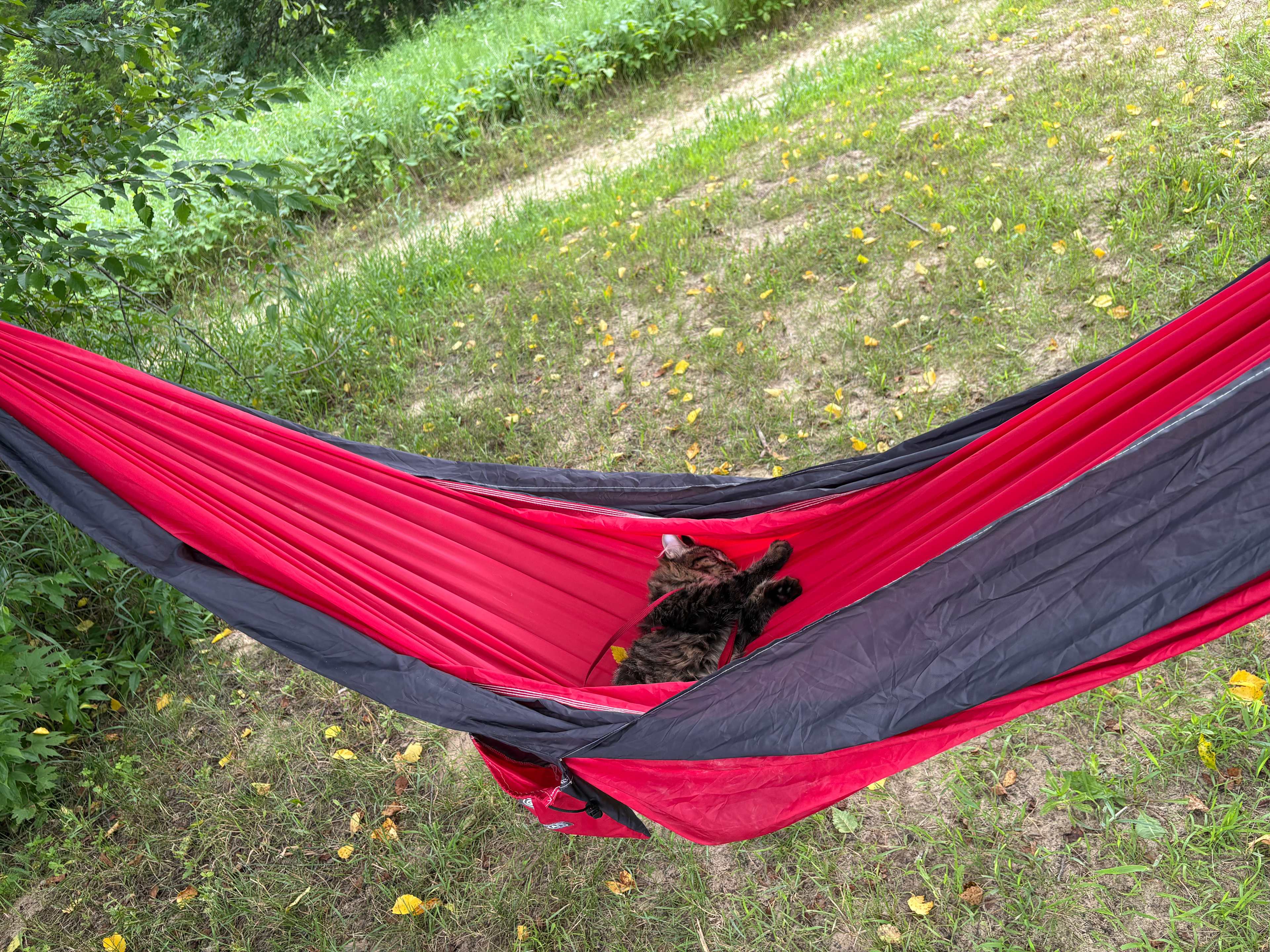 The English Pale Campground (21+)