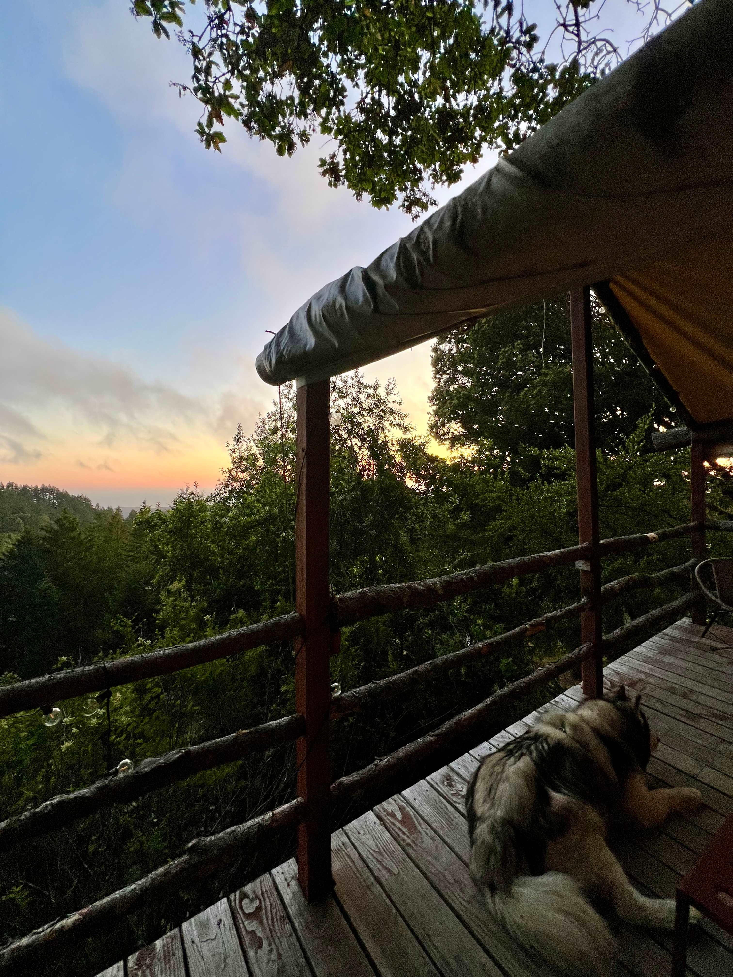Kings Mountain Camp w/ ocean views