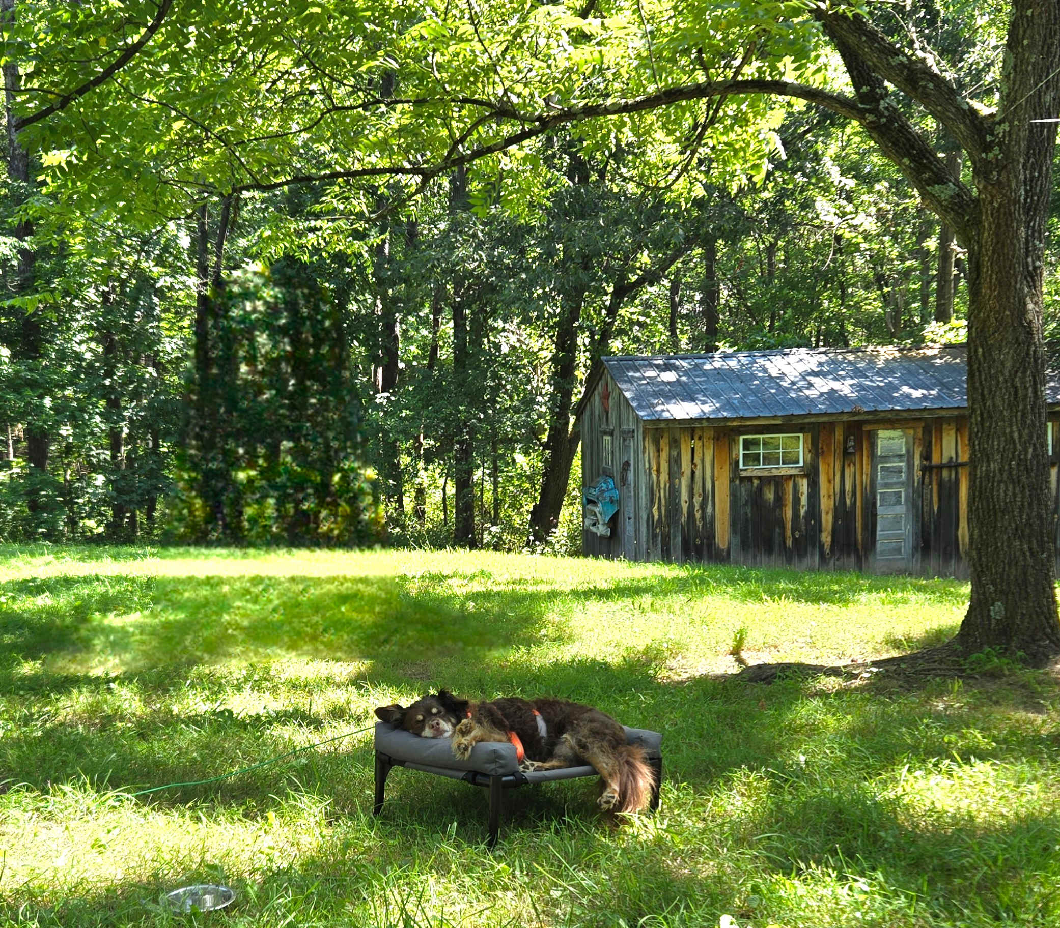 Locust Post Brewery Camp
