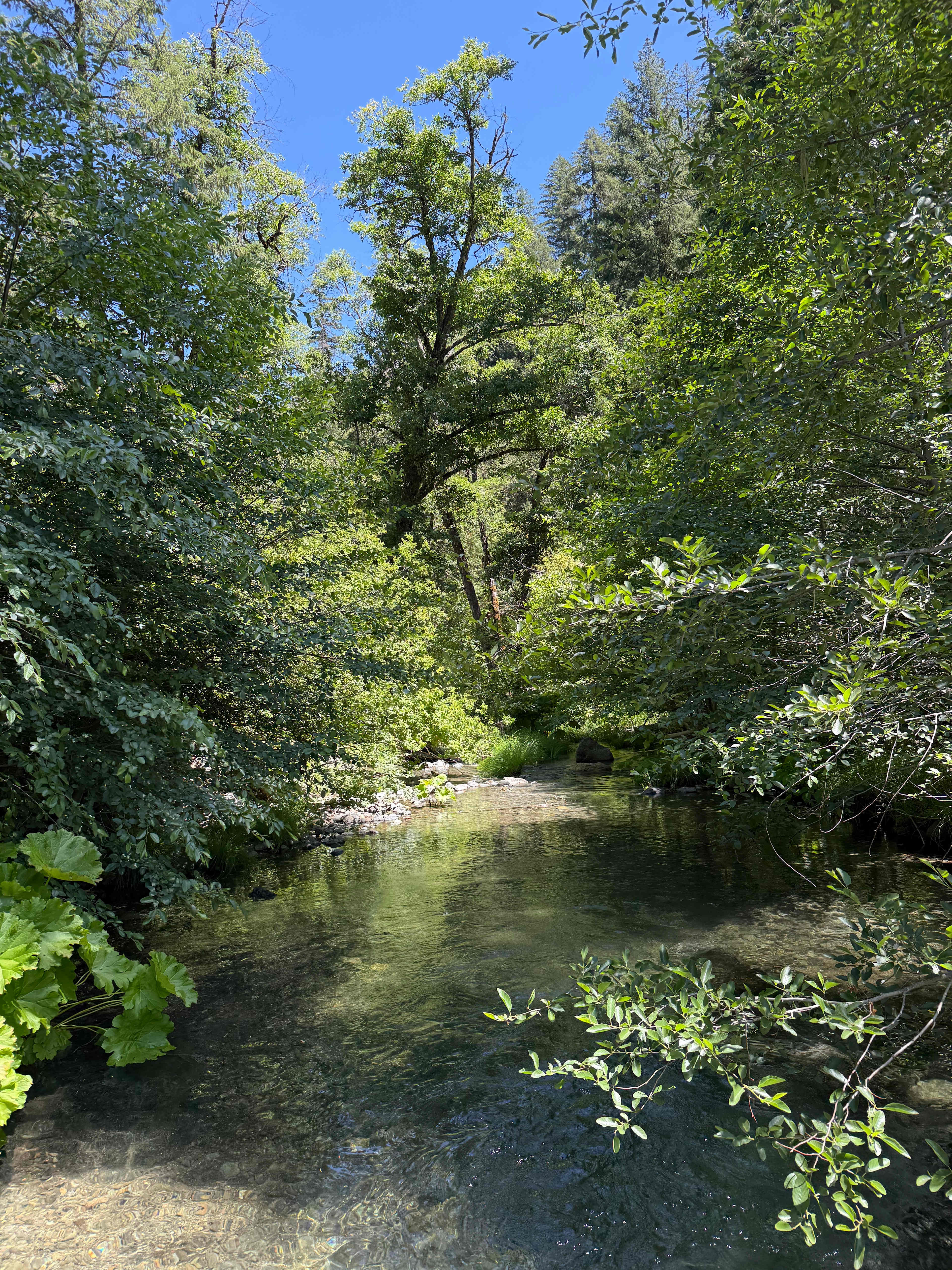 Trinity Outpost Wilderness Resort