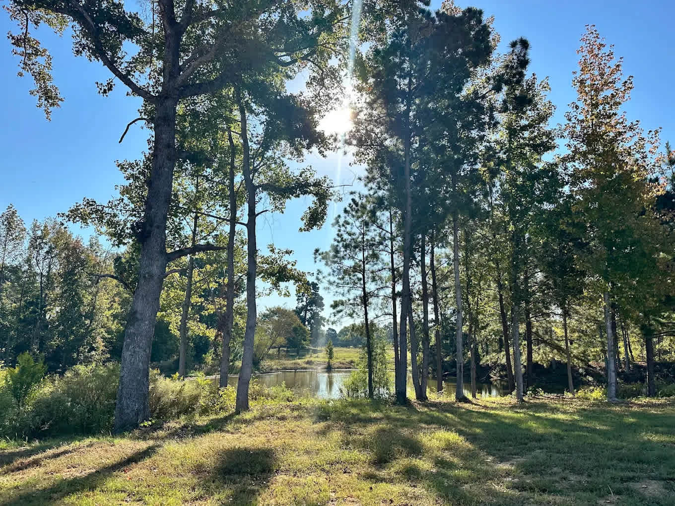 Starrville RV Resort