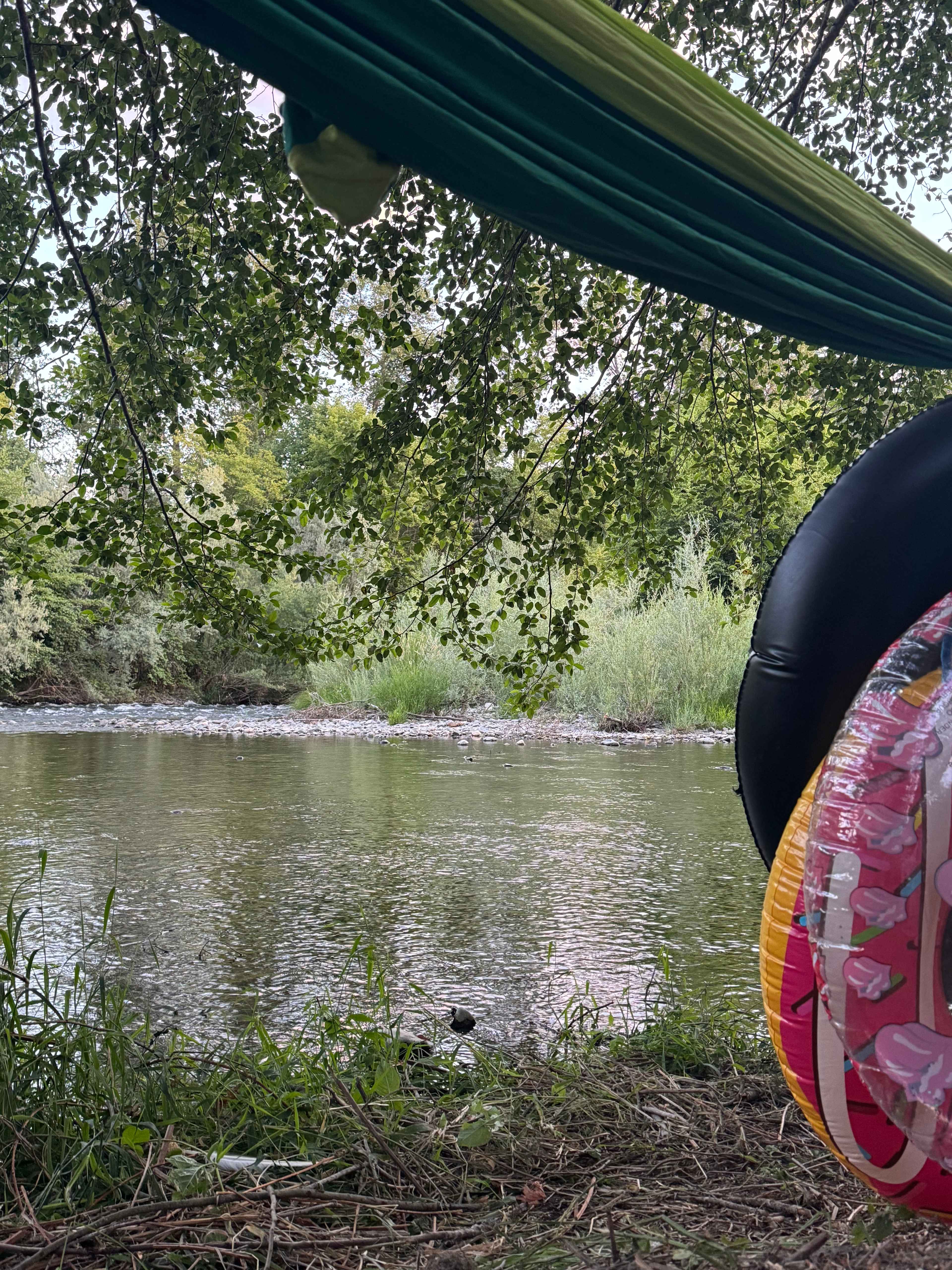 River view from the site.