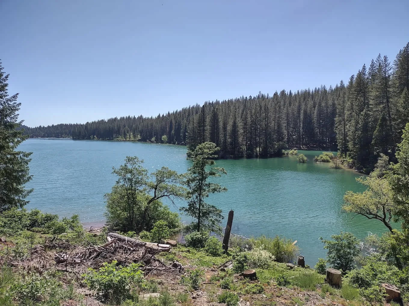 Sly Park Campground