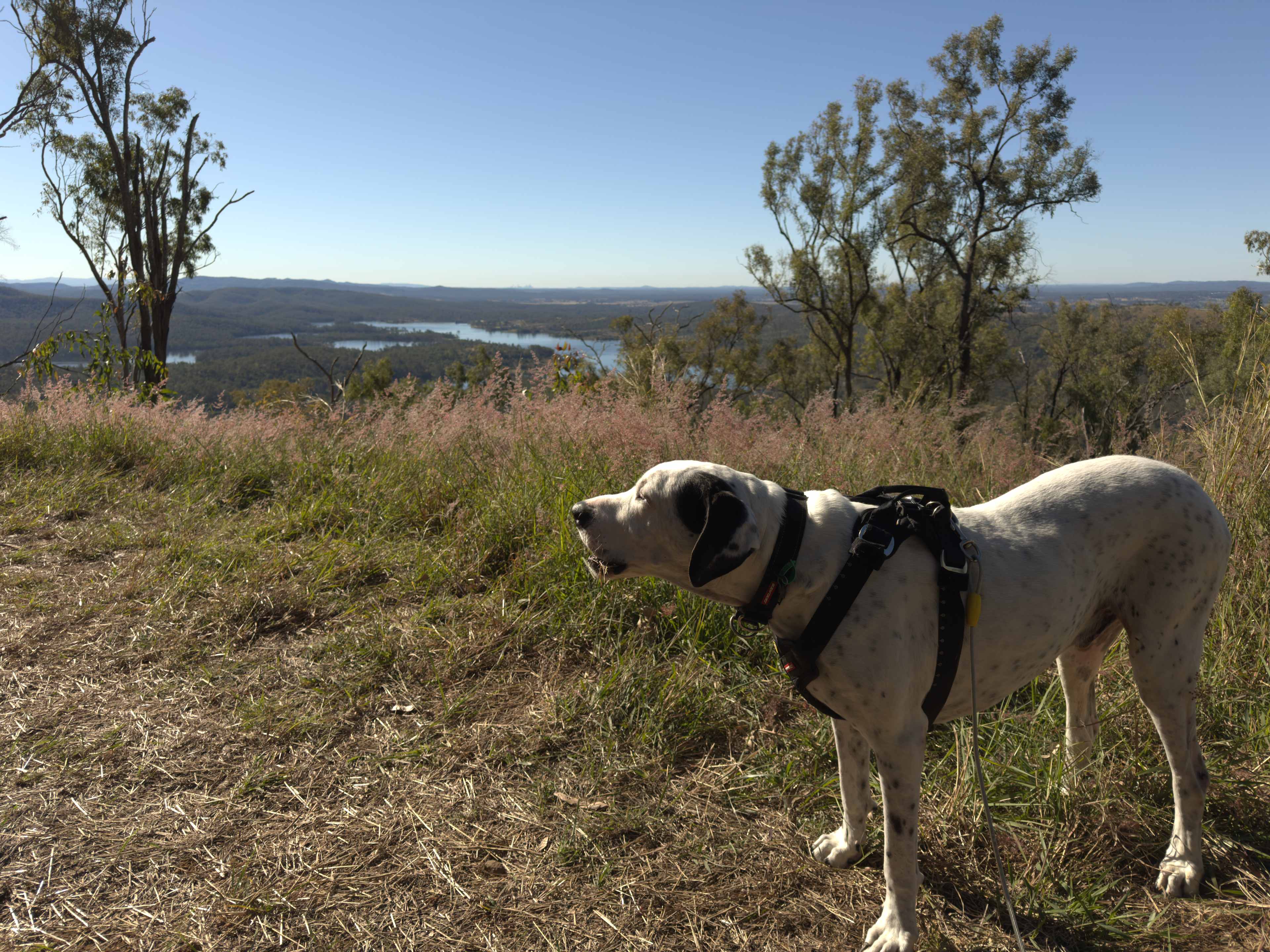Juburra Country Camping