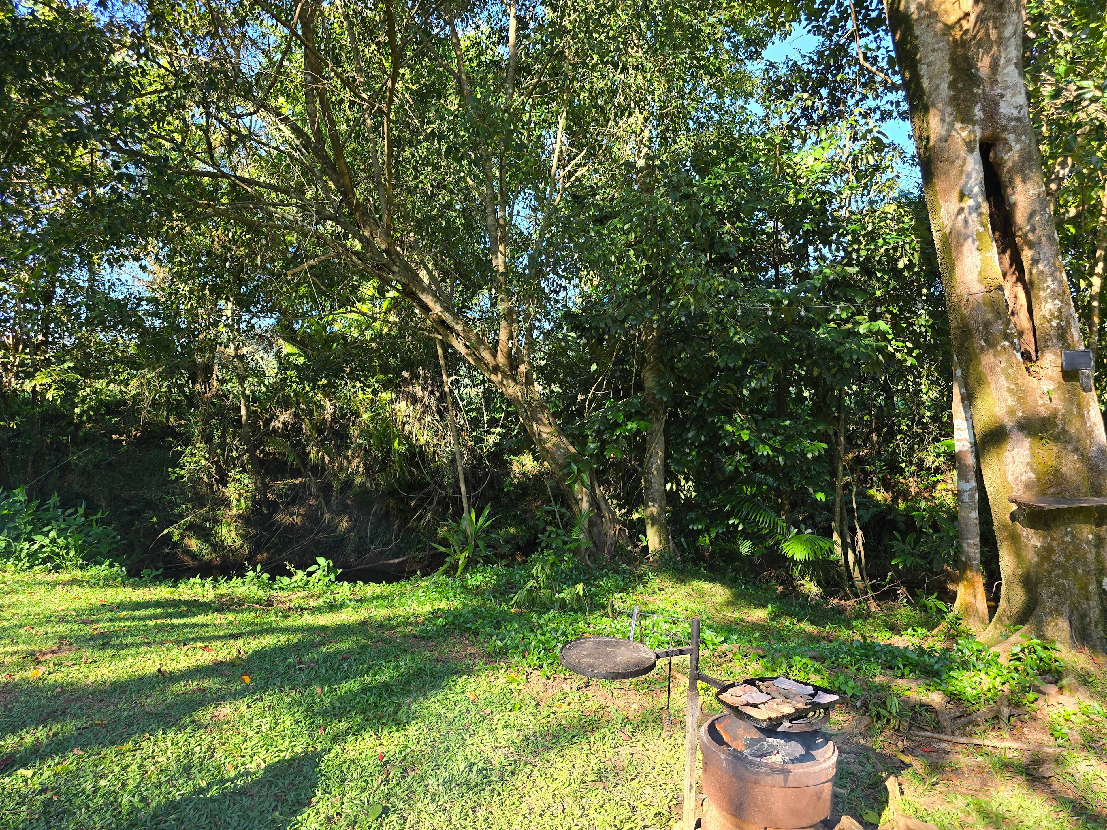 Tropical Woopen Creek Camping