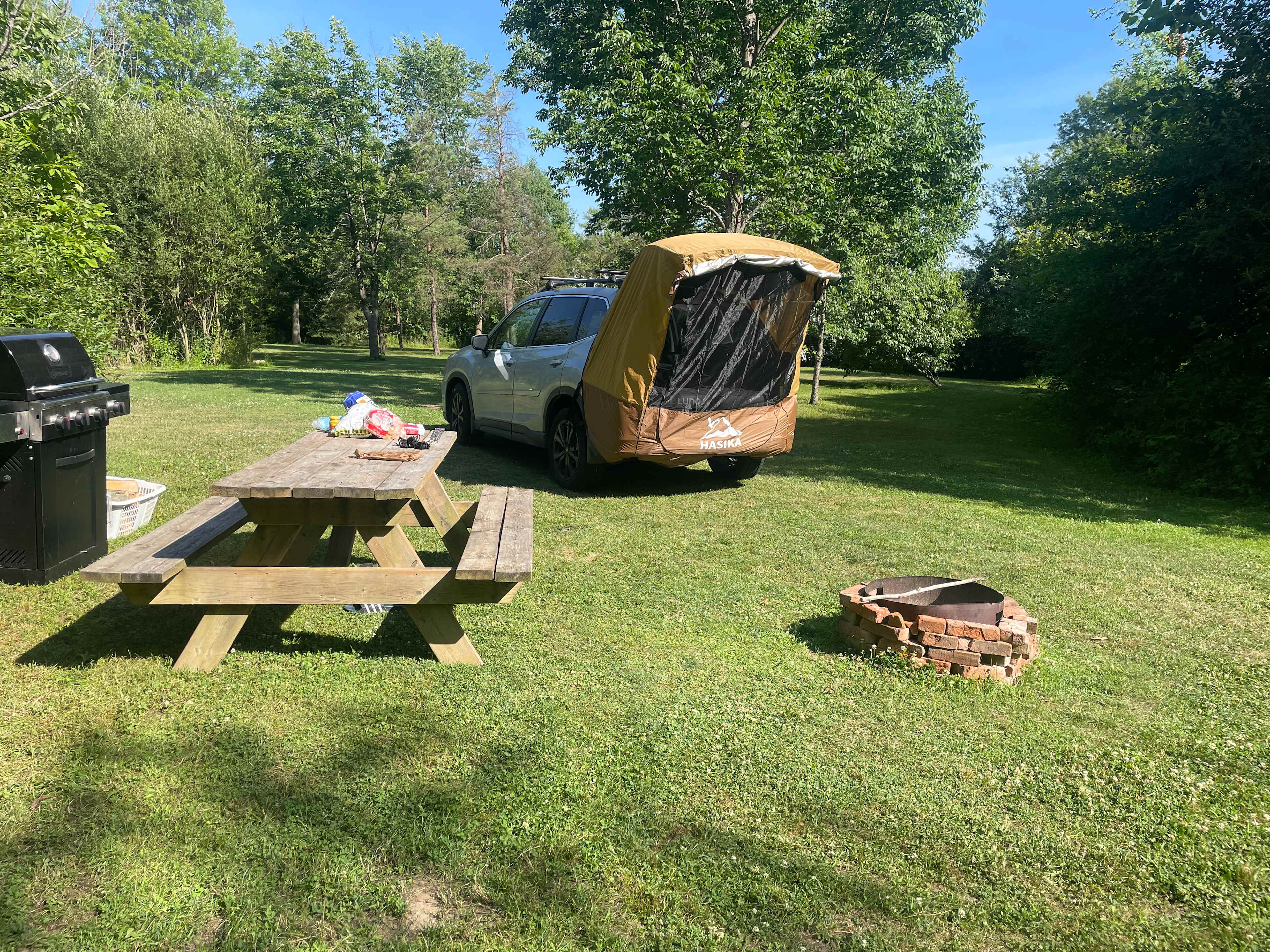 Camping table, grill, fire ring. Plenty of trees with opportunities for a hammock if you bring one.