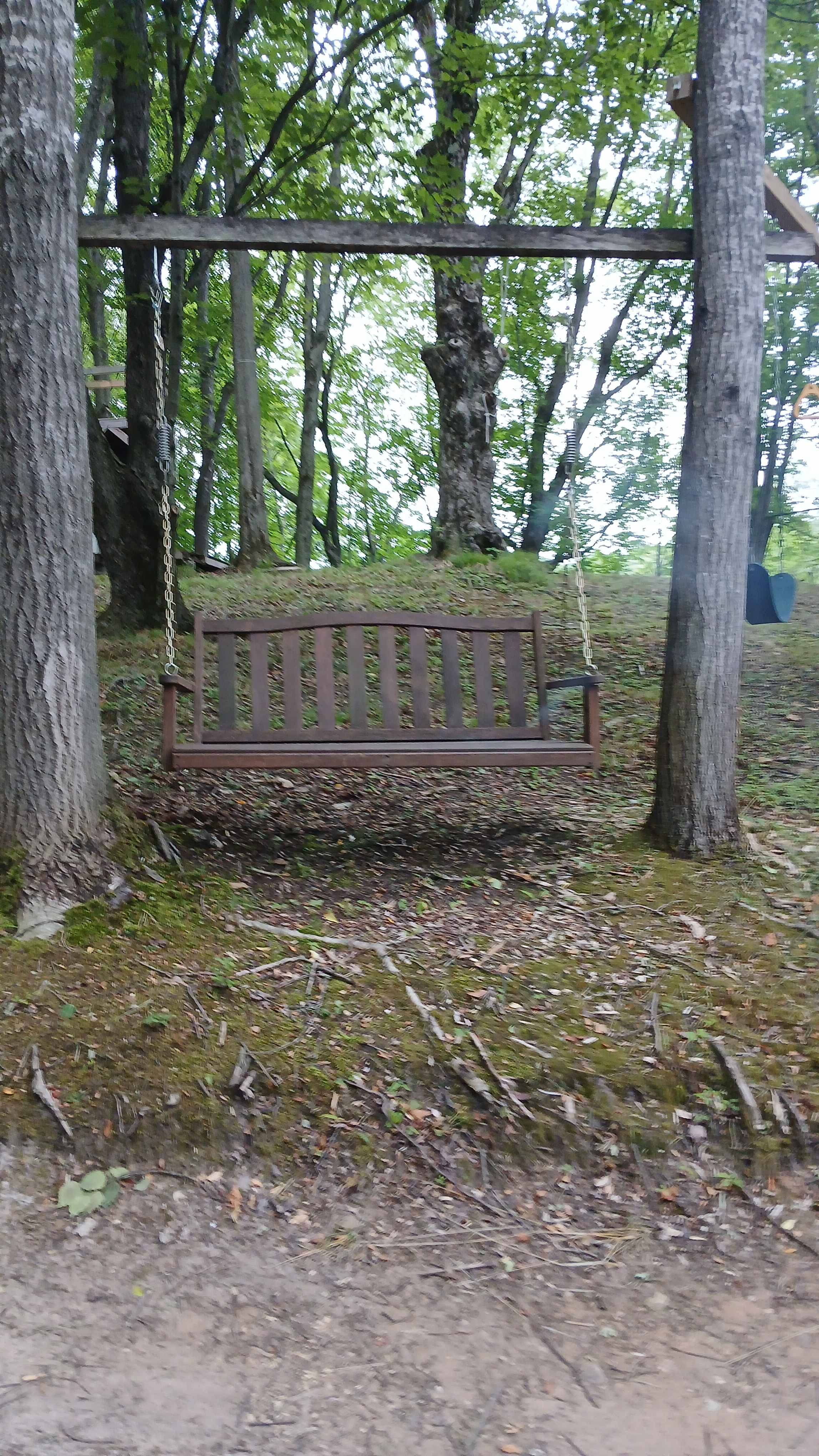 Camp Firefly