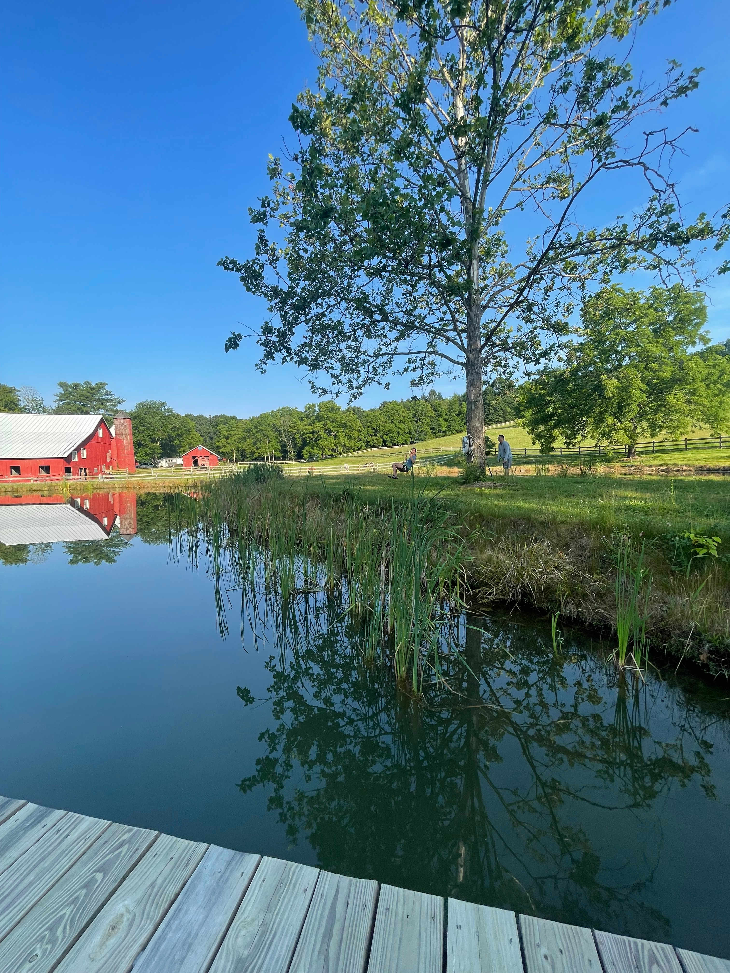 Mornings walks to the pond are a must