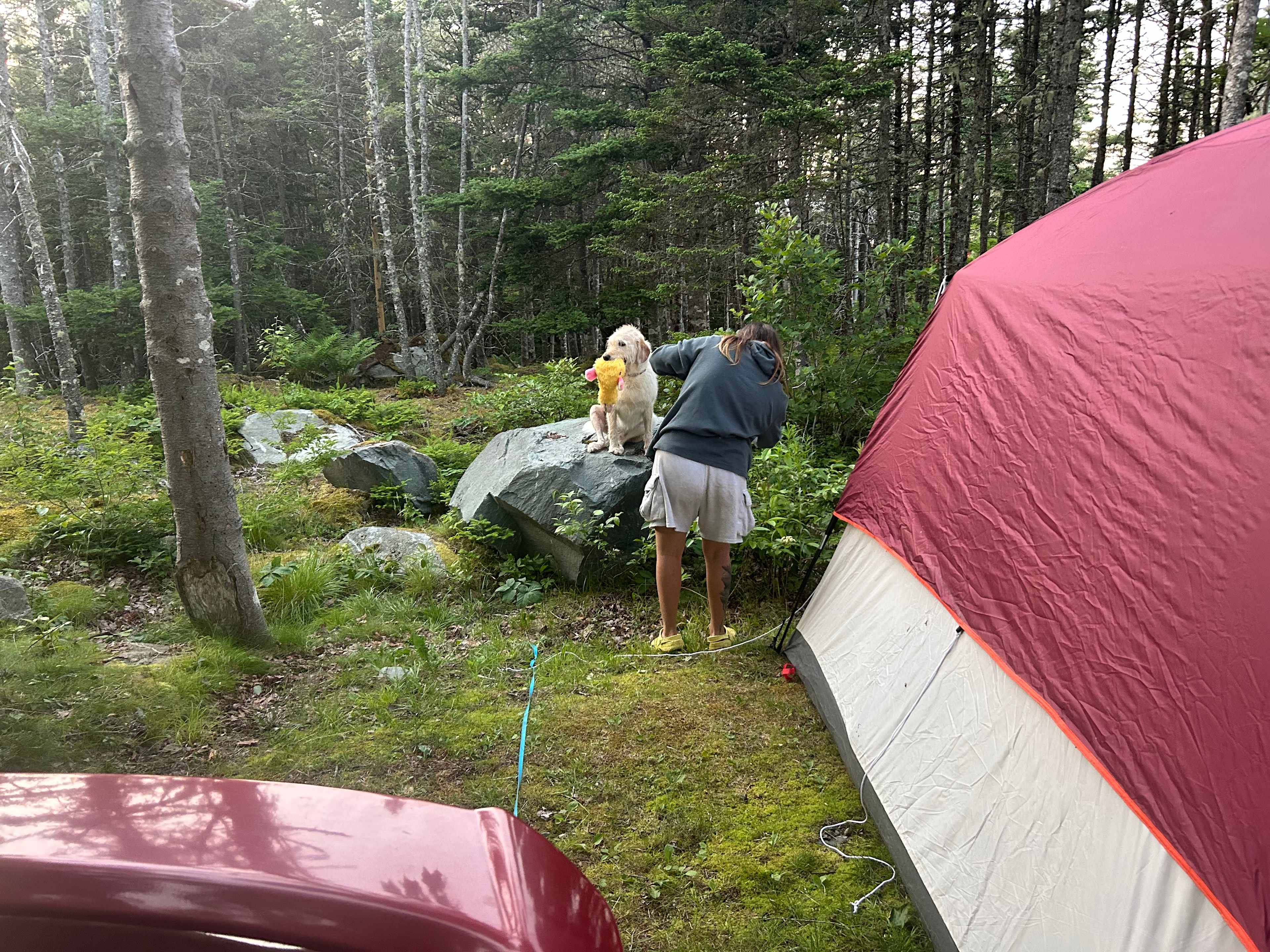 Murphy's Camping on the Ocean