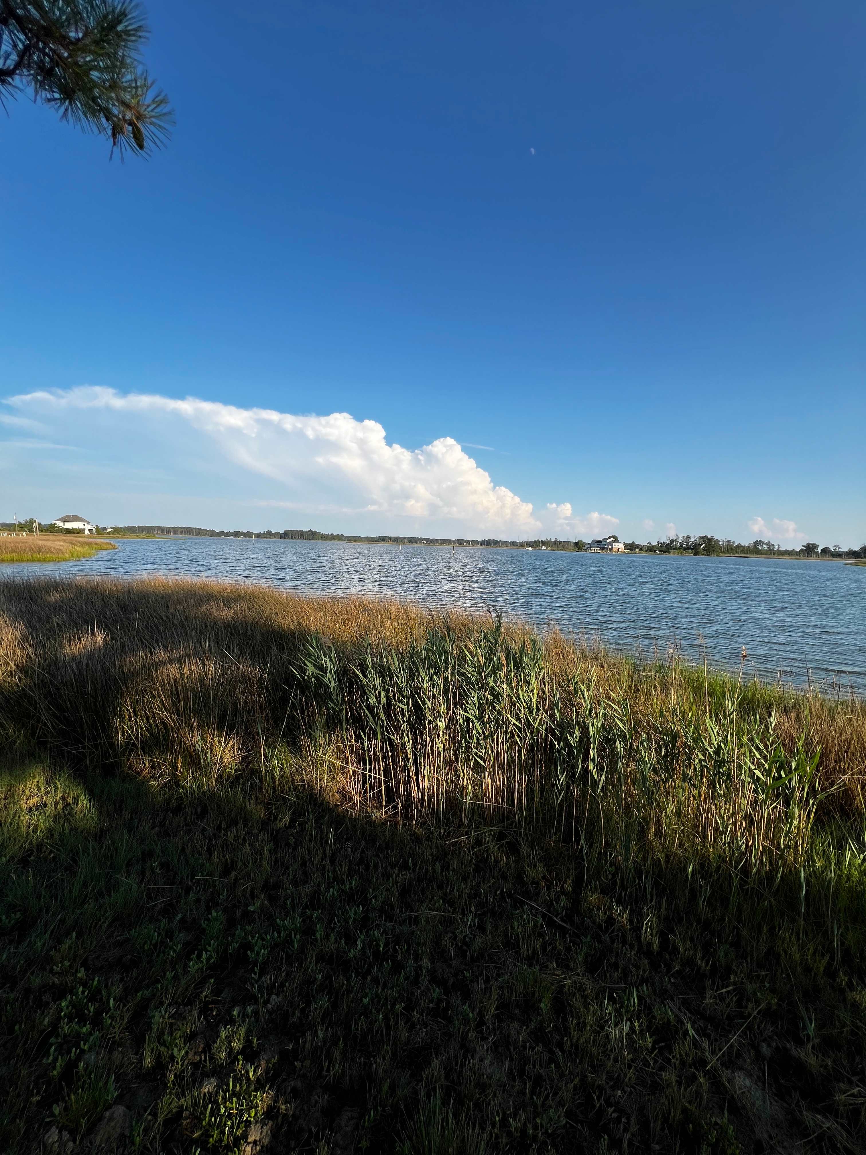 The Oysterhouse Landing