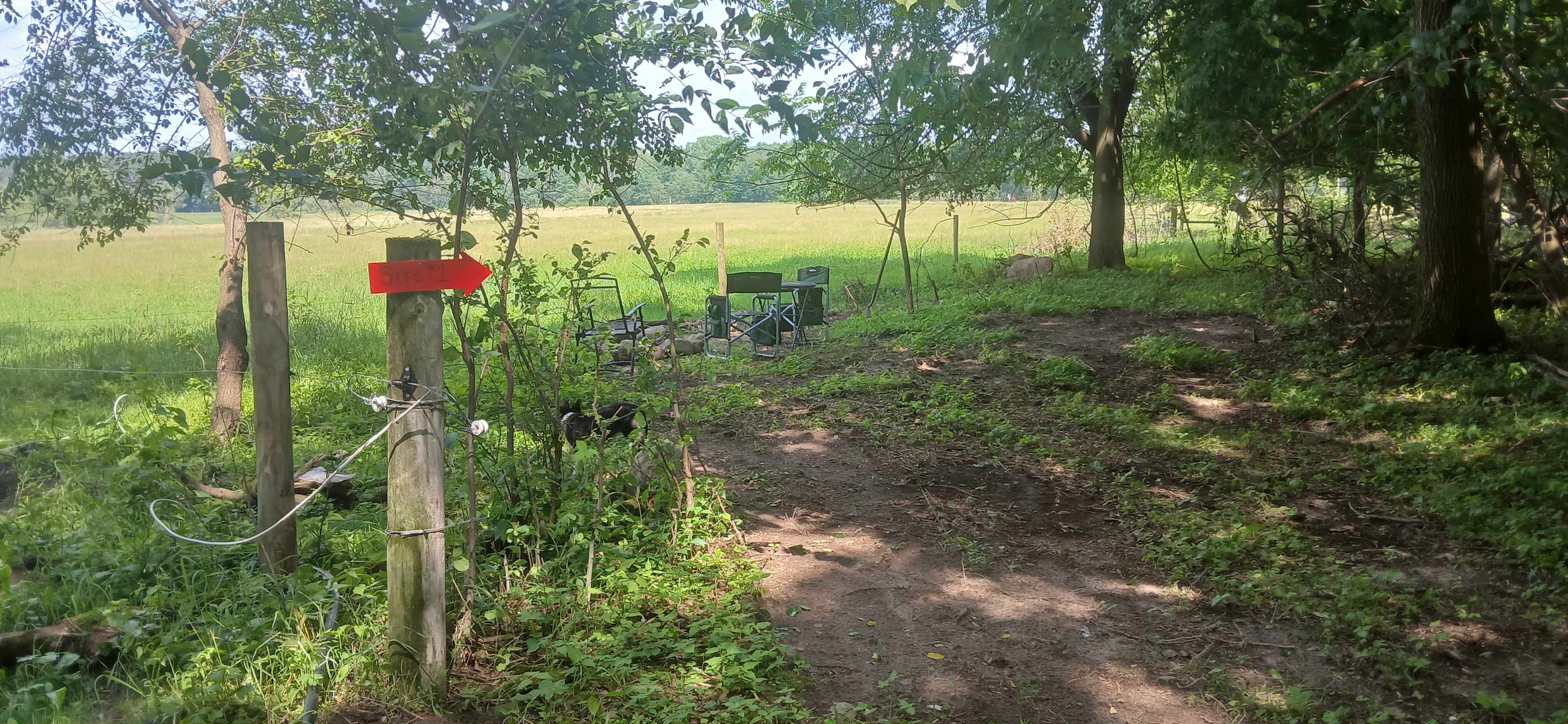 Bouressa Family Farm