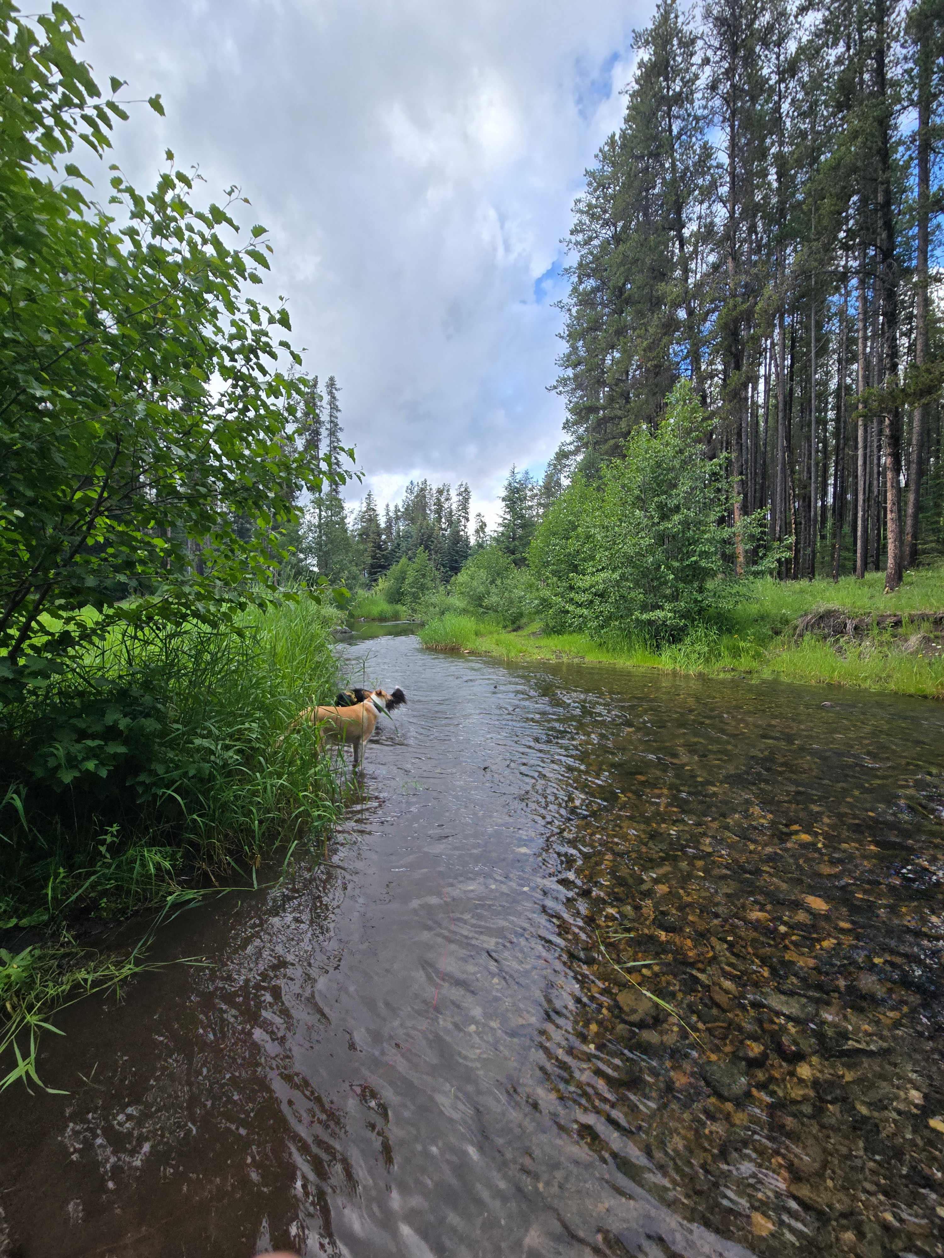 Murphy's Gold Creek Ranch