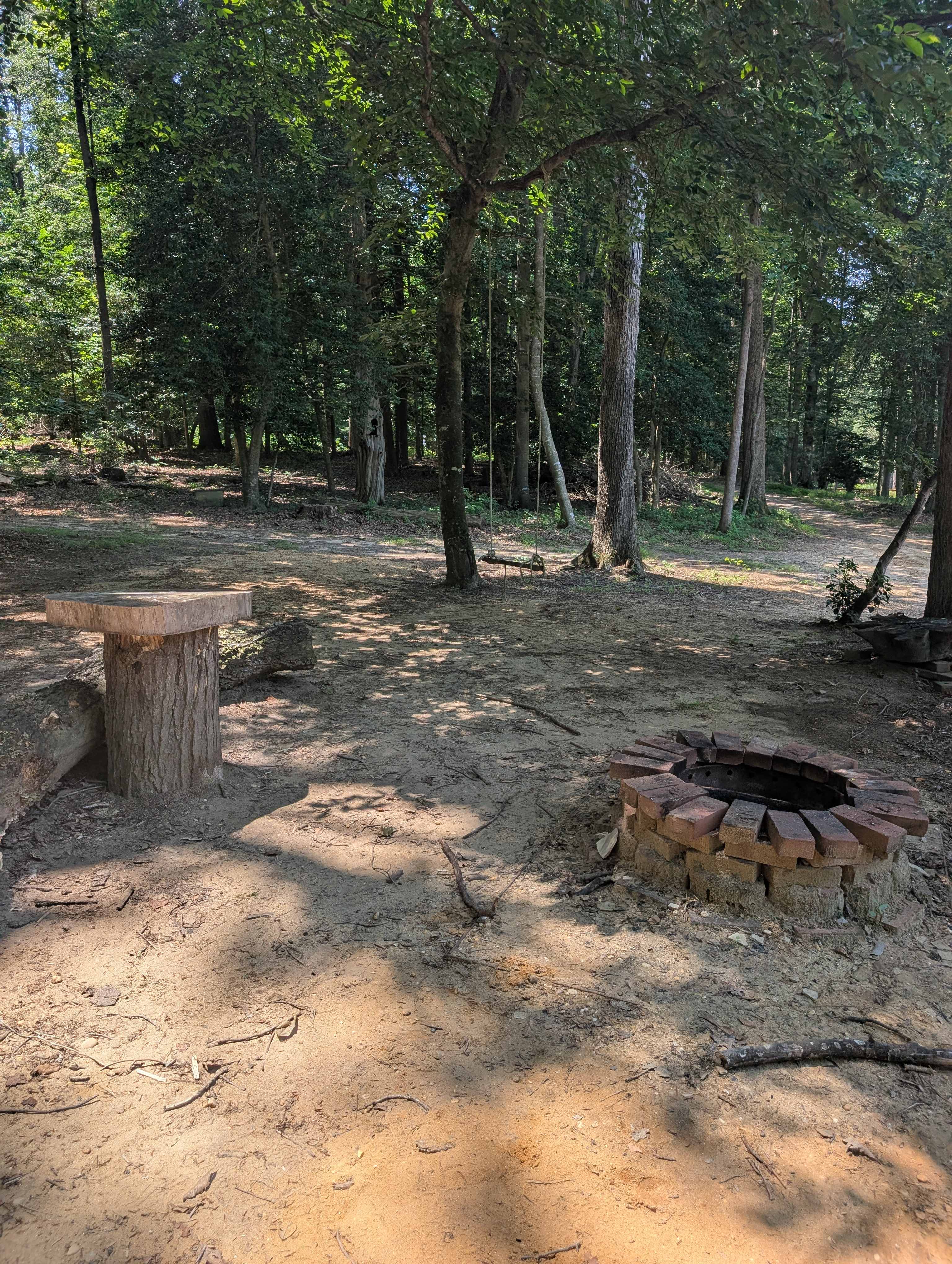 Willow Oak 1