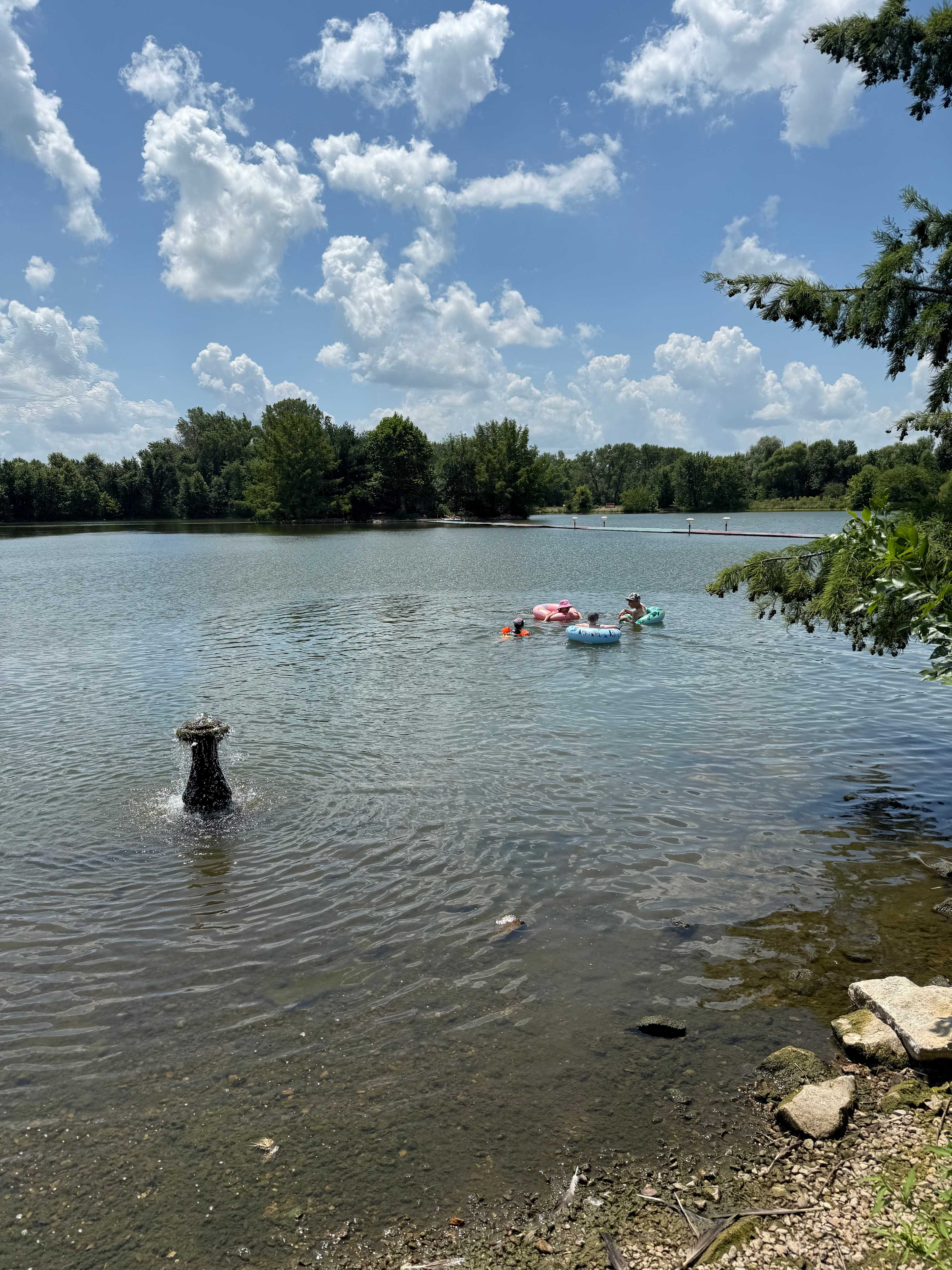 Harmony Lake Farm Park & Playground