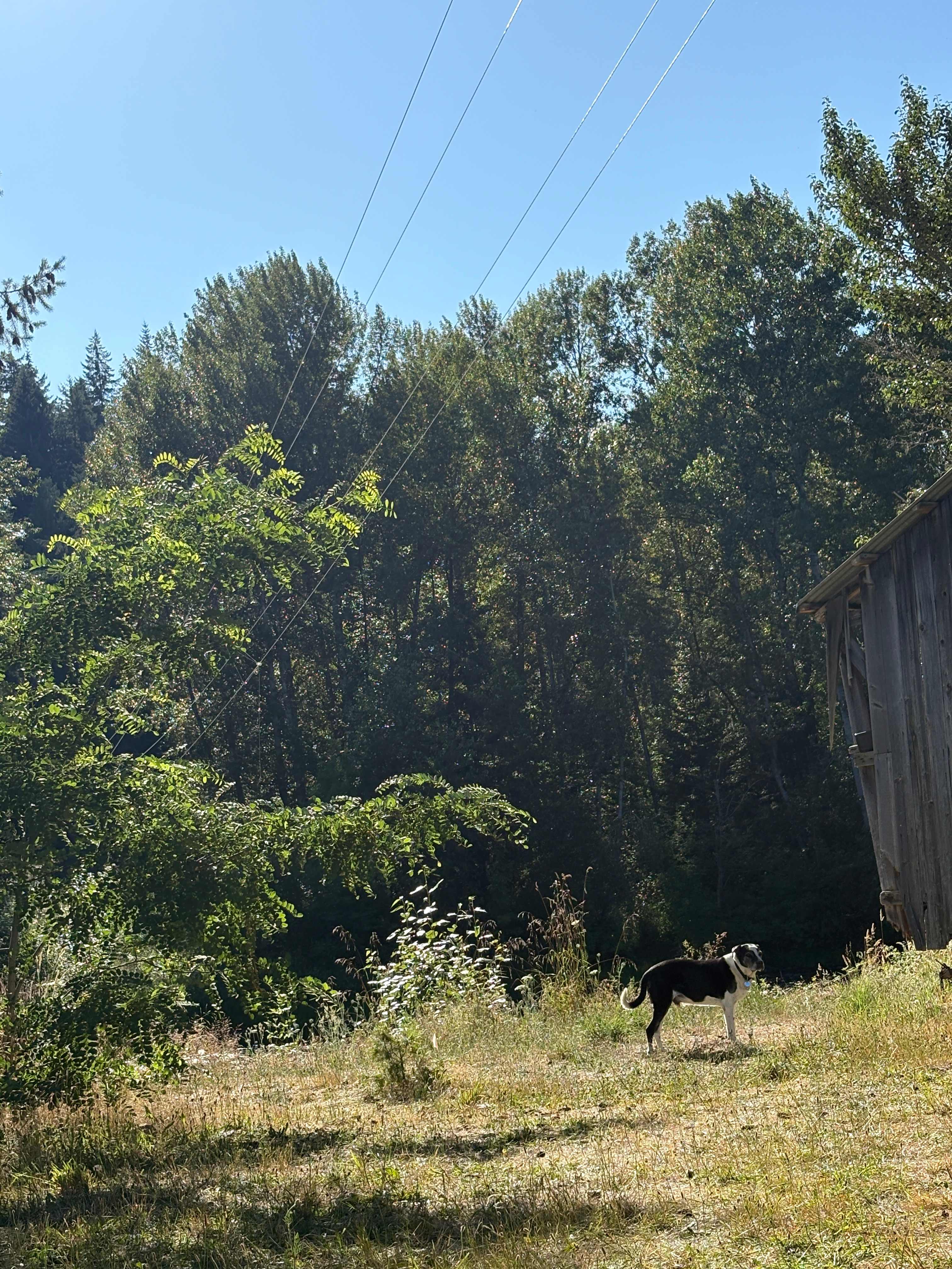 Ridge overlooking the river 