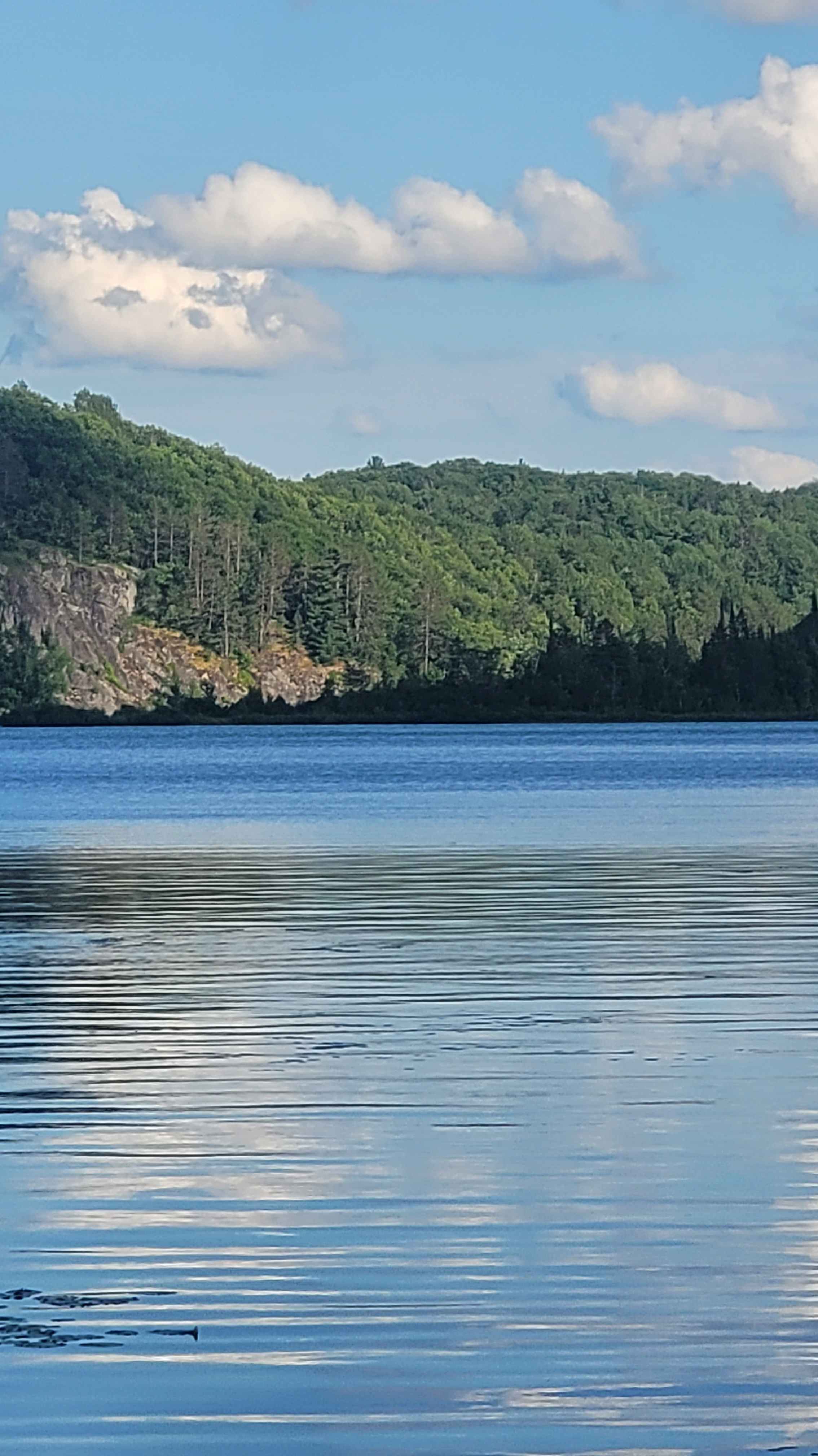 Moose and Musky