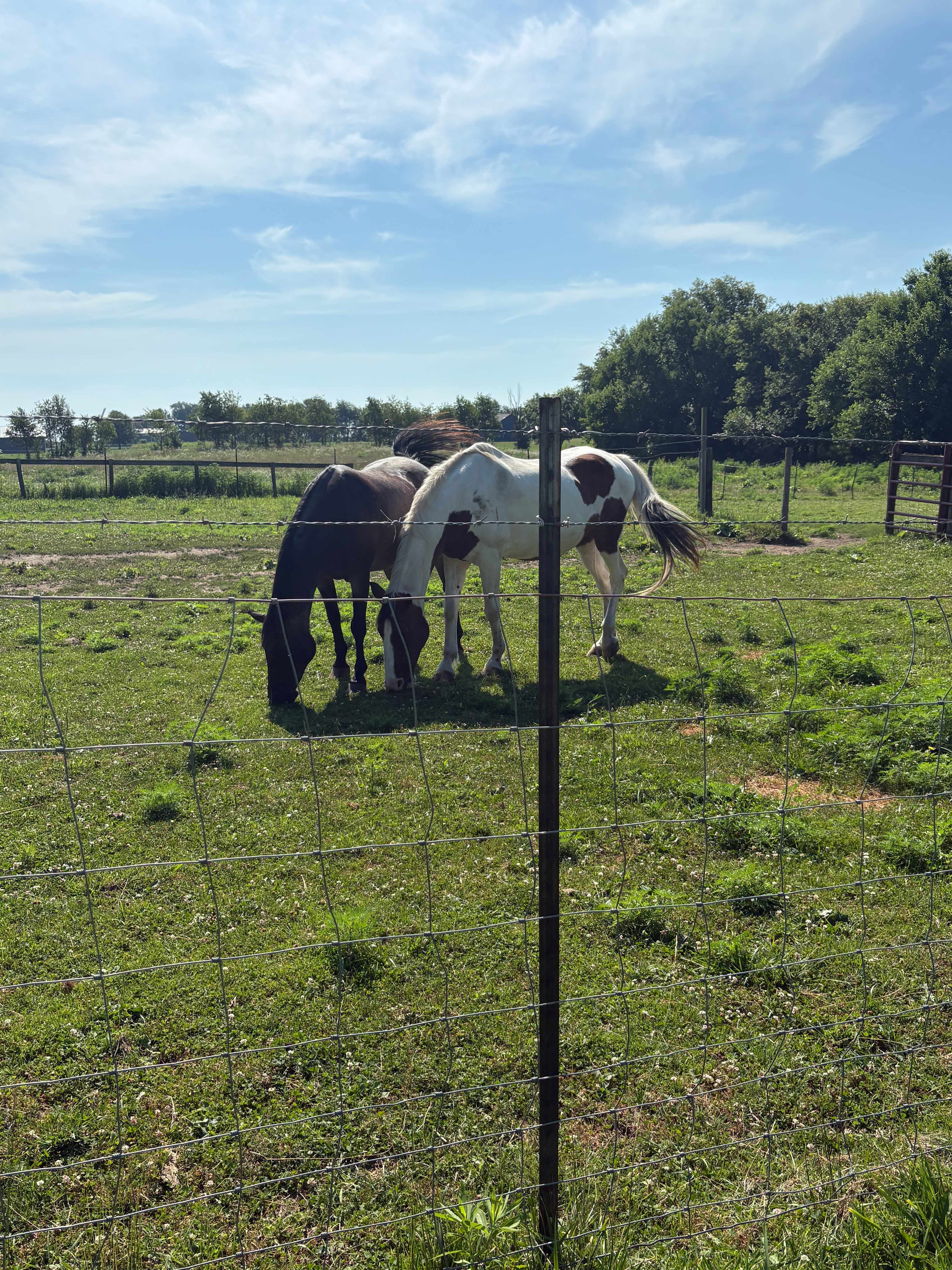 Serenity Fields Farm