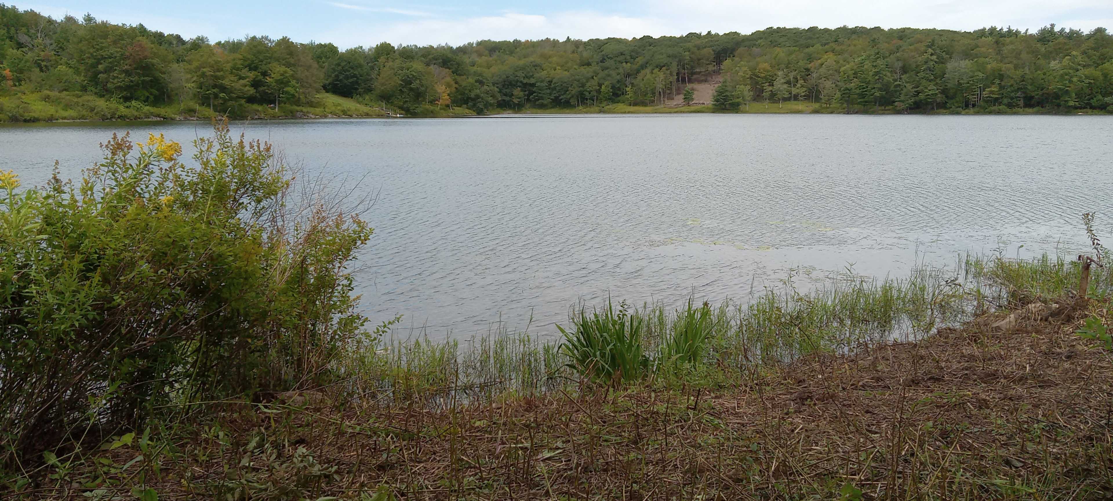 Triangle Lake Campsites