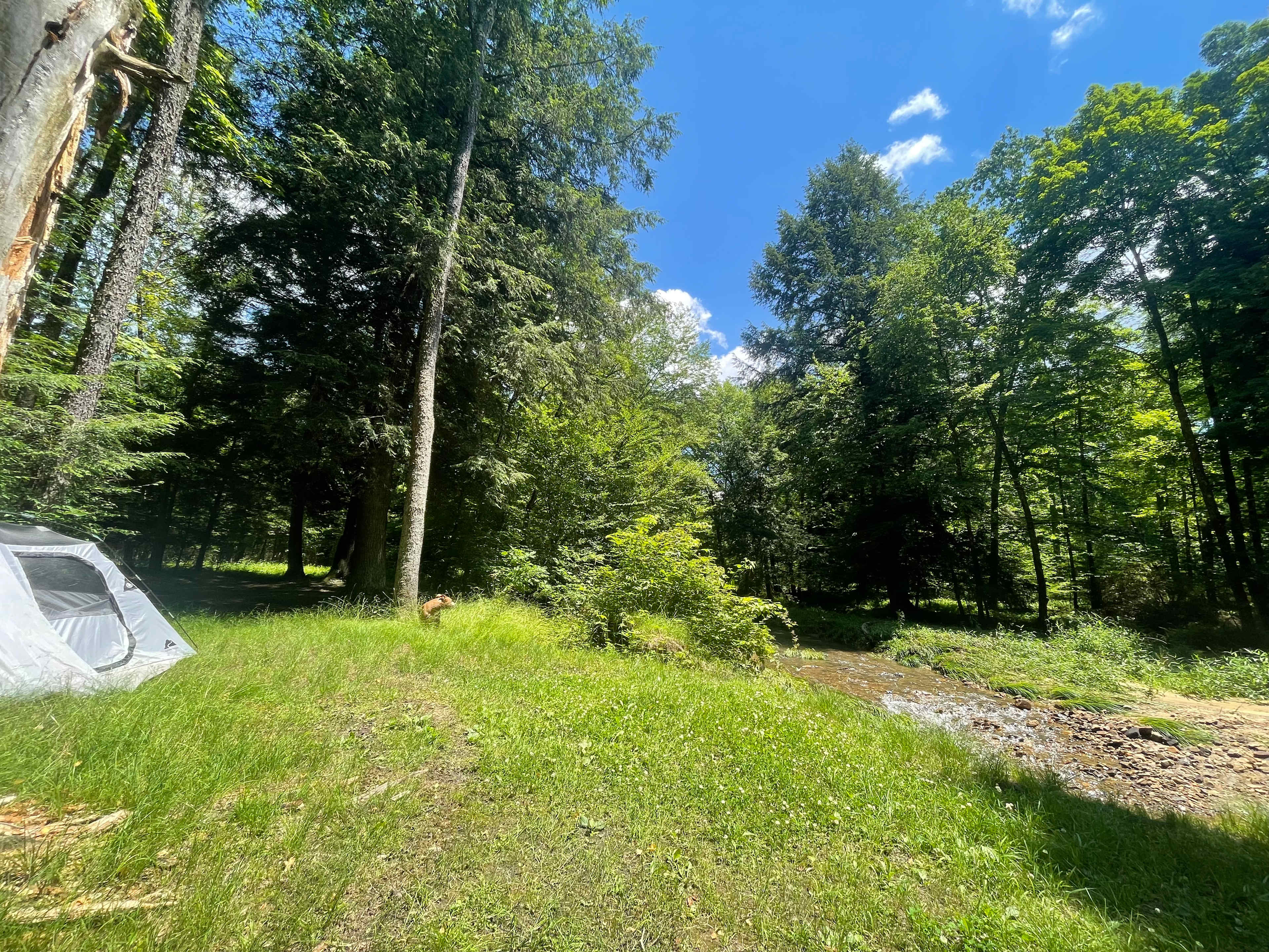 Roller-Coaster Road Ranch