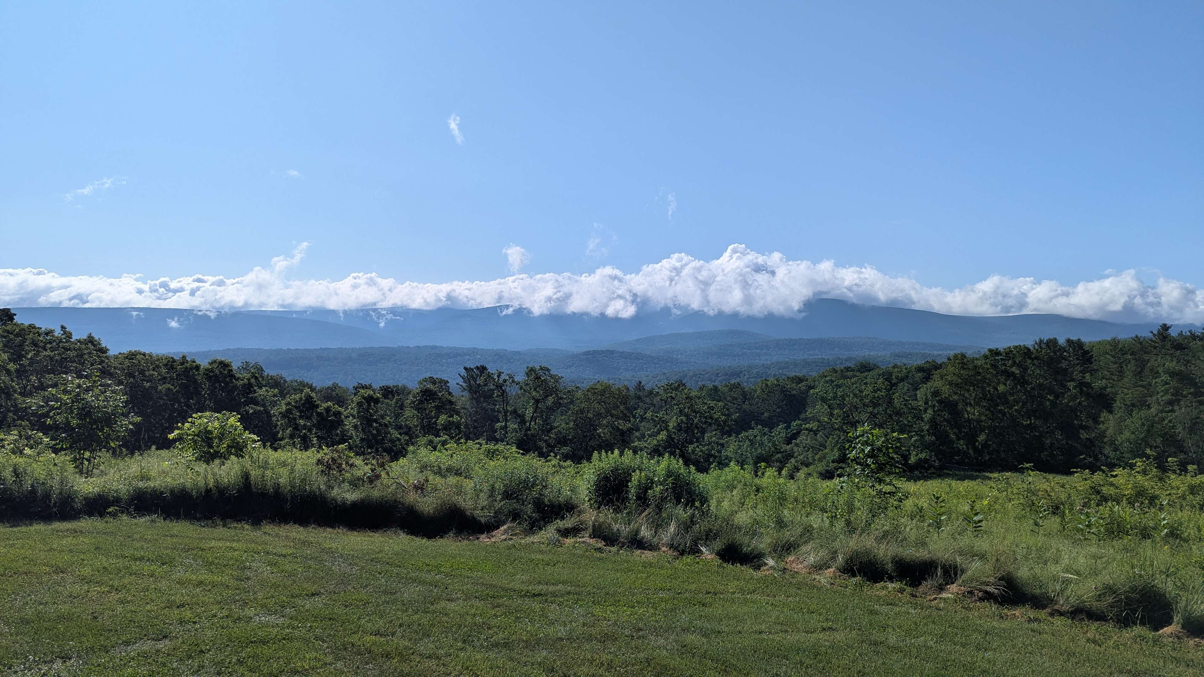 Timbertrail Farm