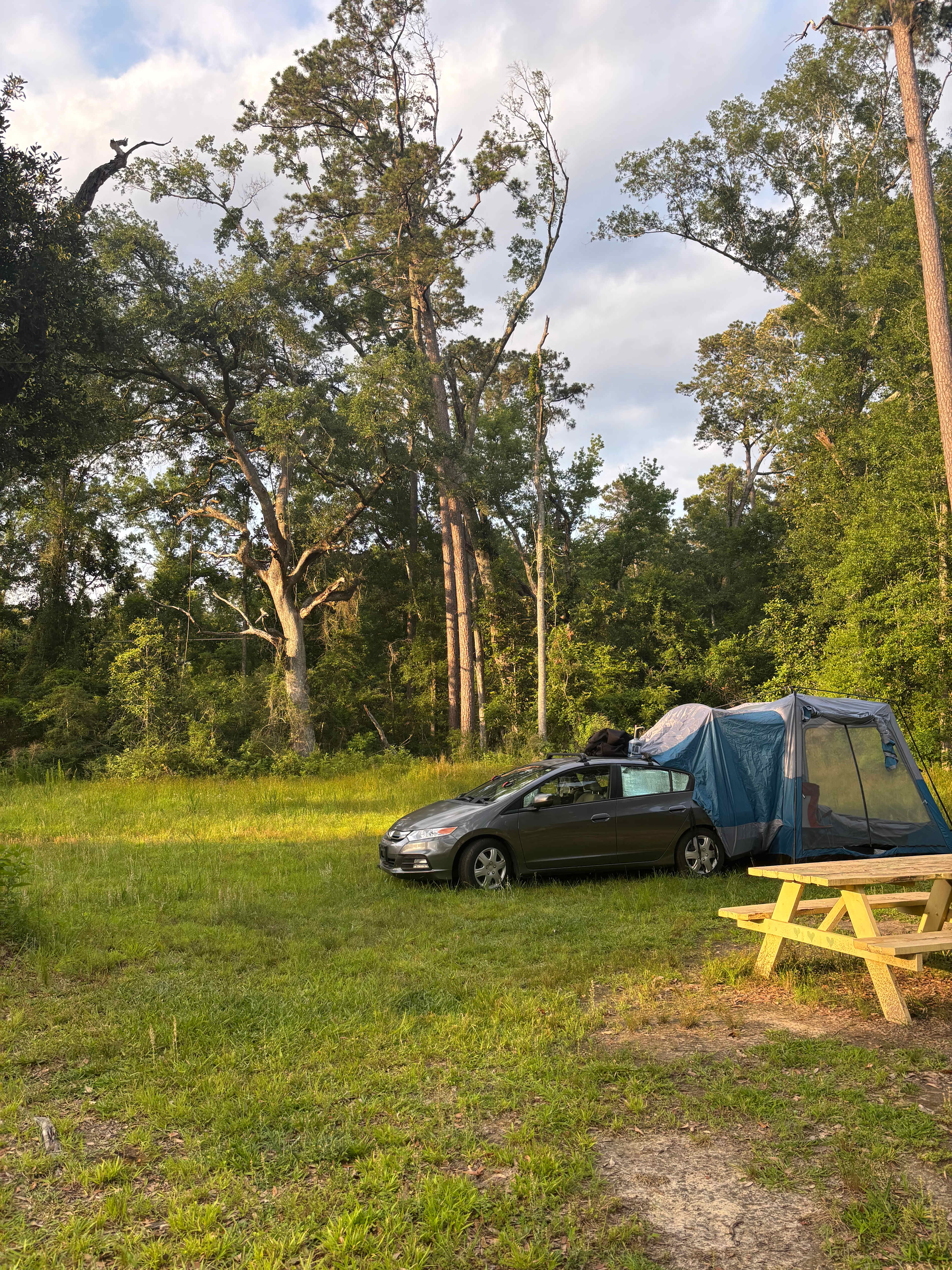 Beautiful, private camping spot next to the blueberry fields 