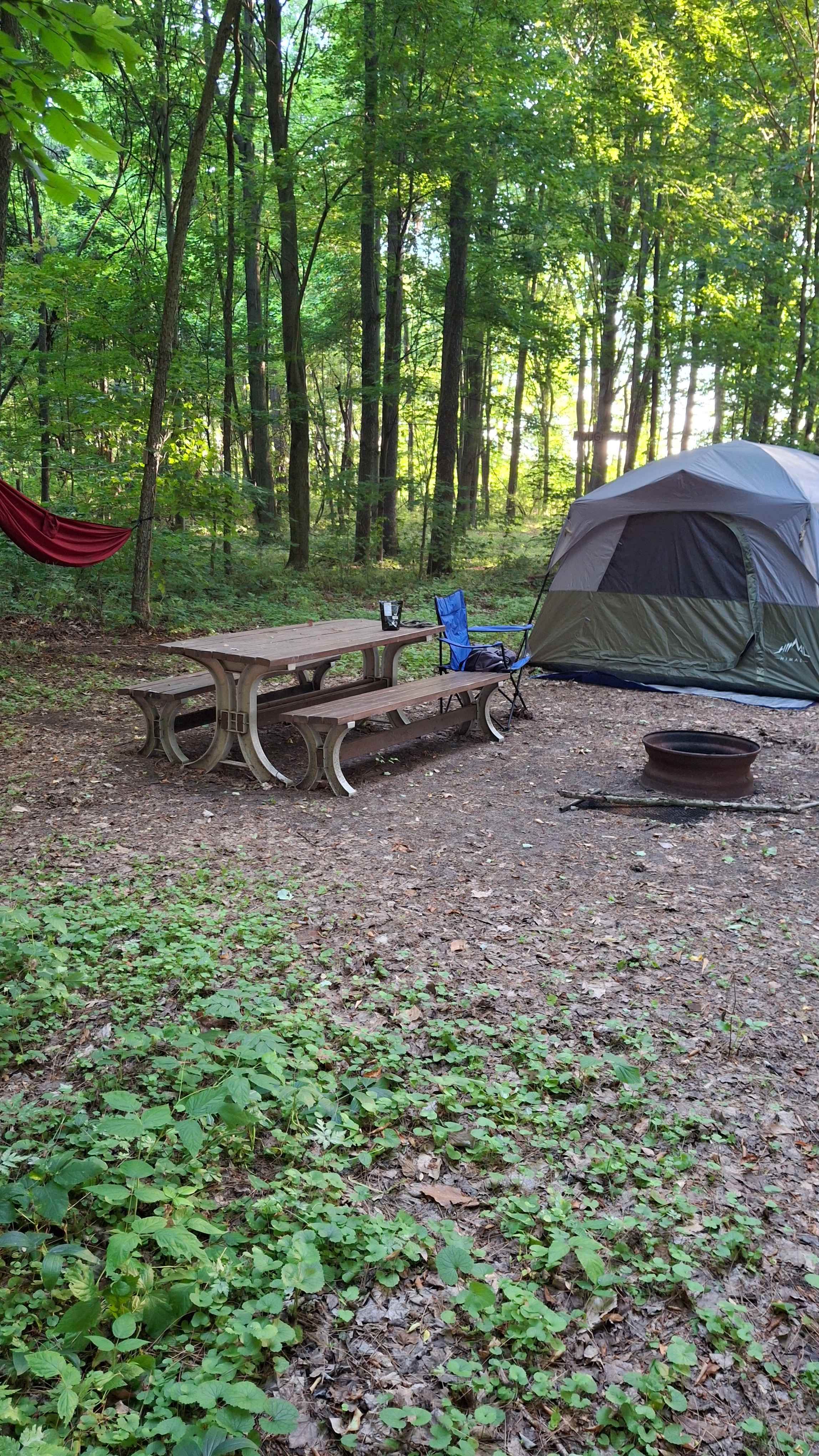 Spring Arbour Magic Forest &Trails!
