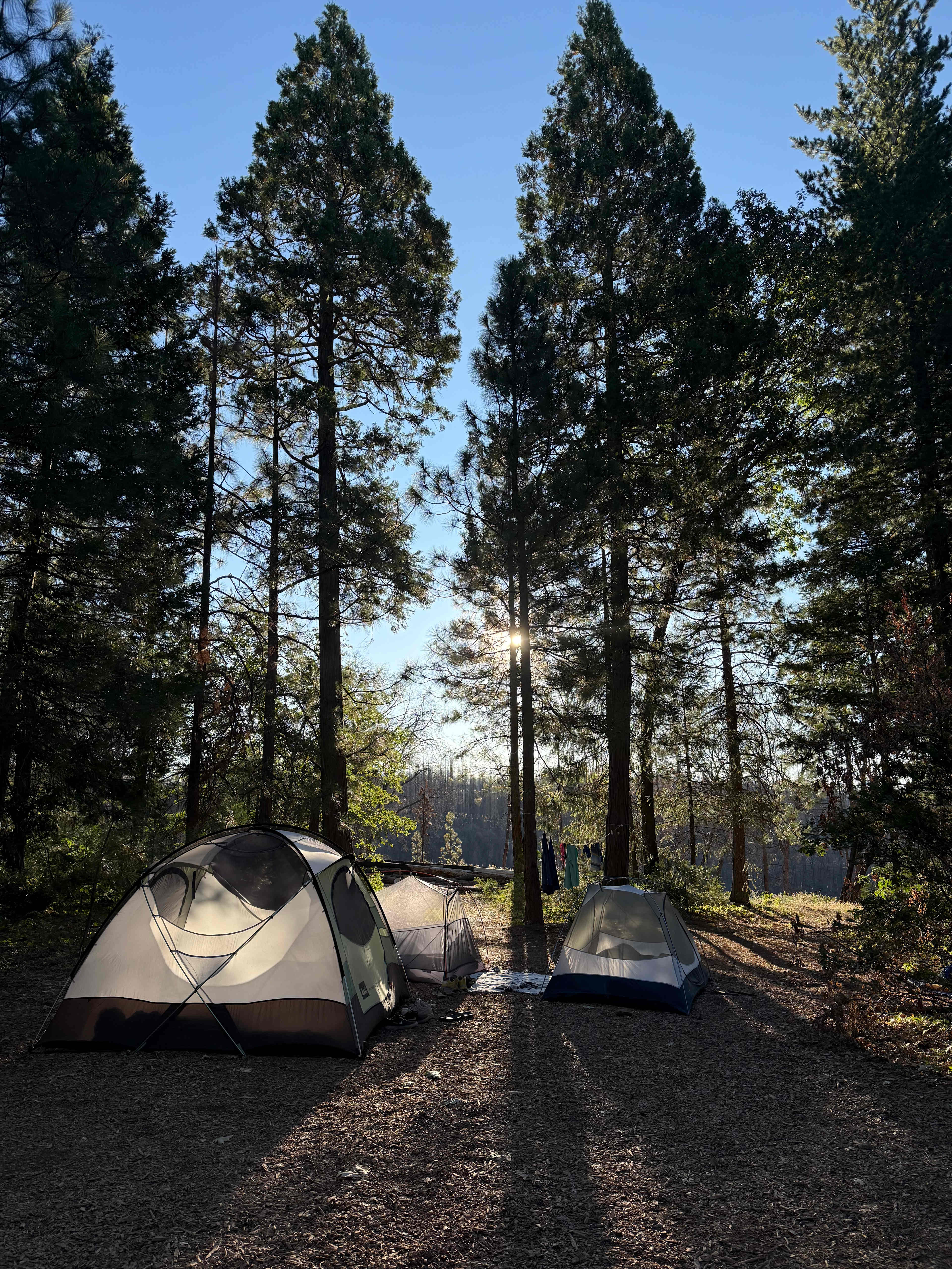 Maple Creek Ranch